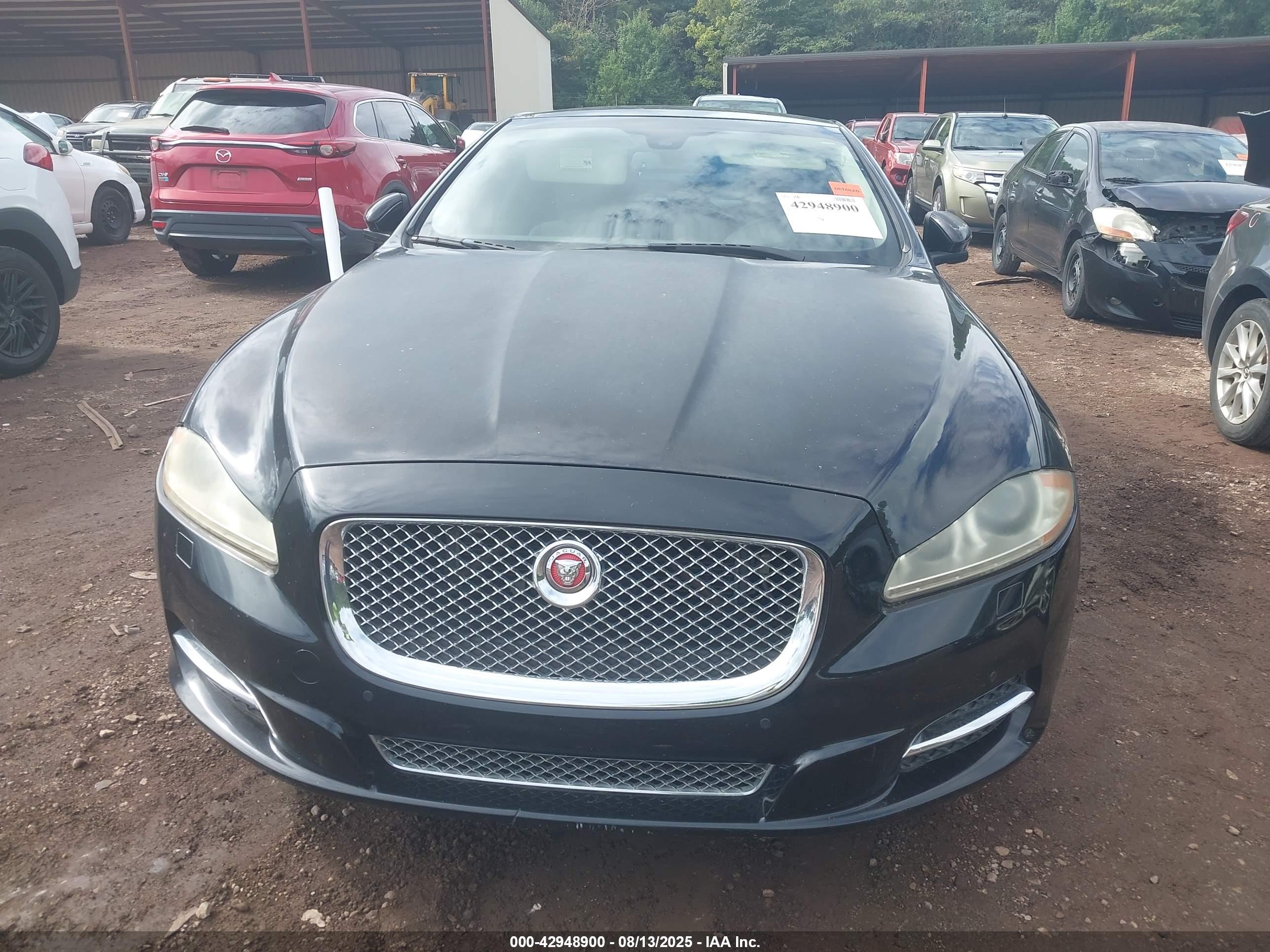 JAGUAR XJ image 6