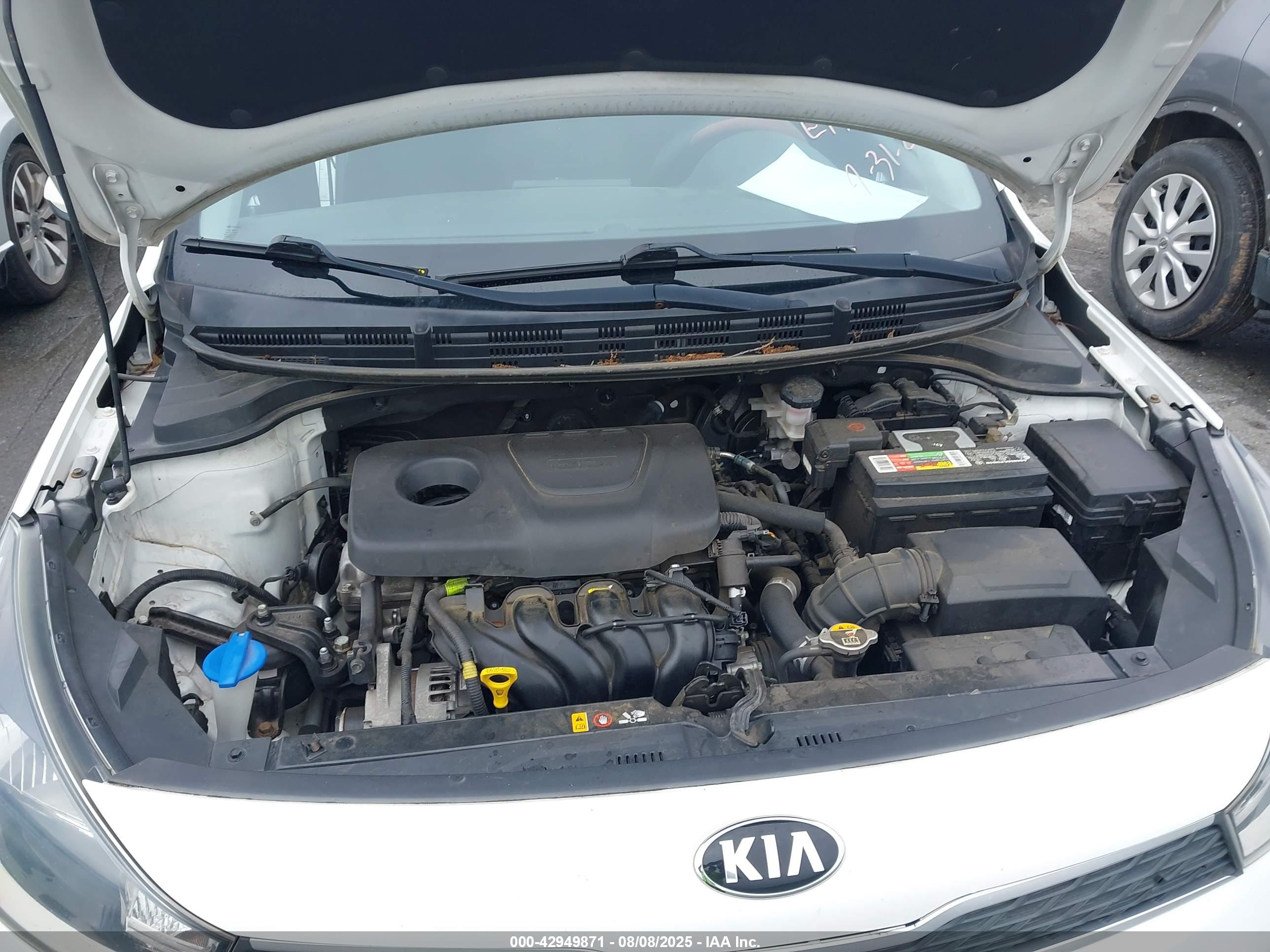 KIA RIO image 10