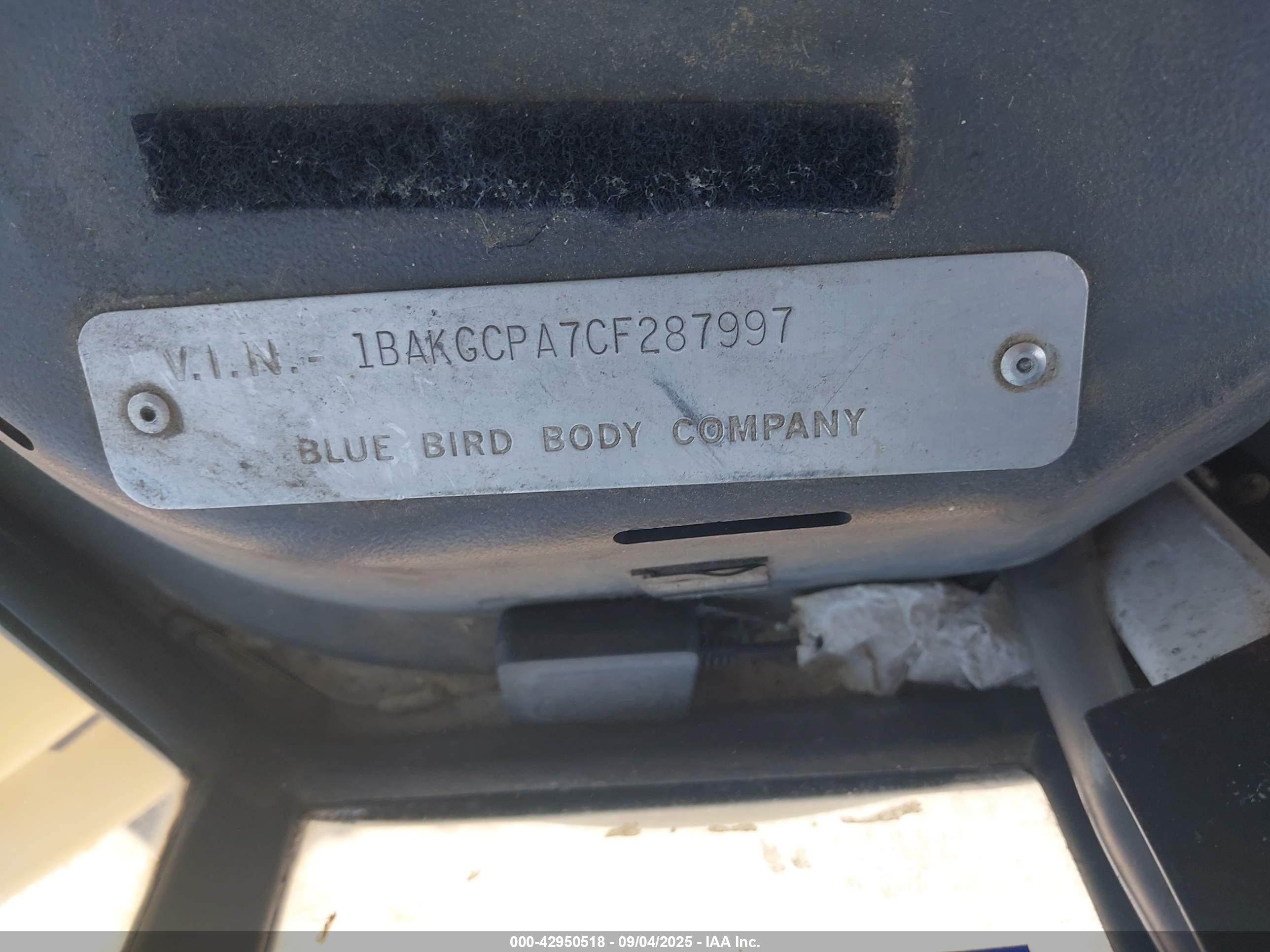 BLUE BIRD image 9