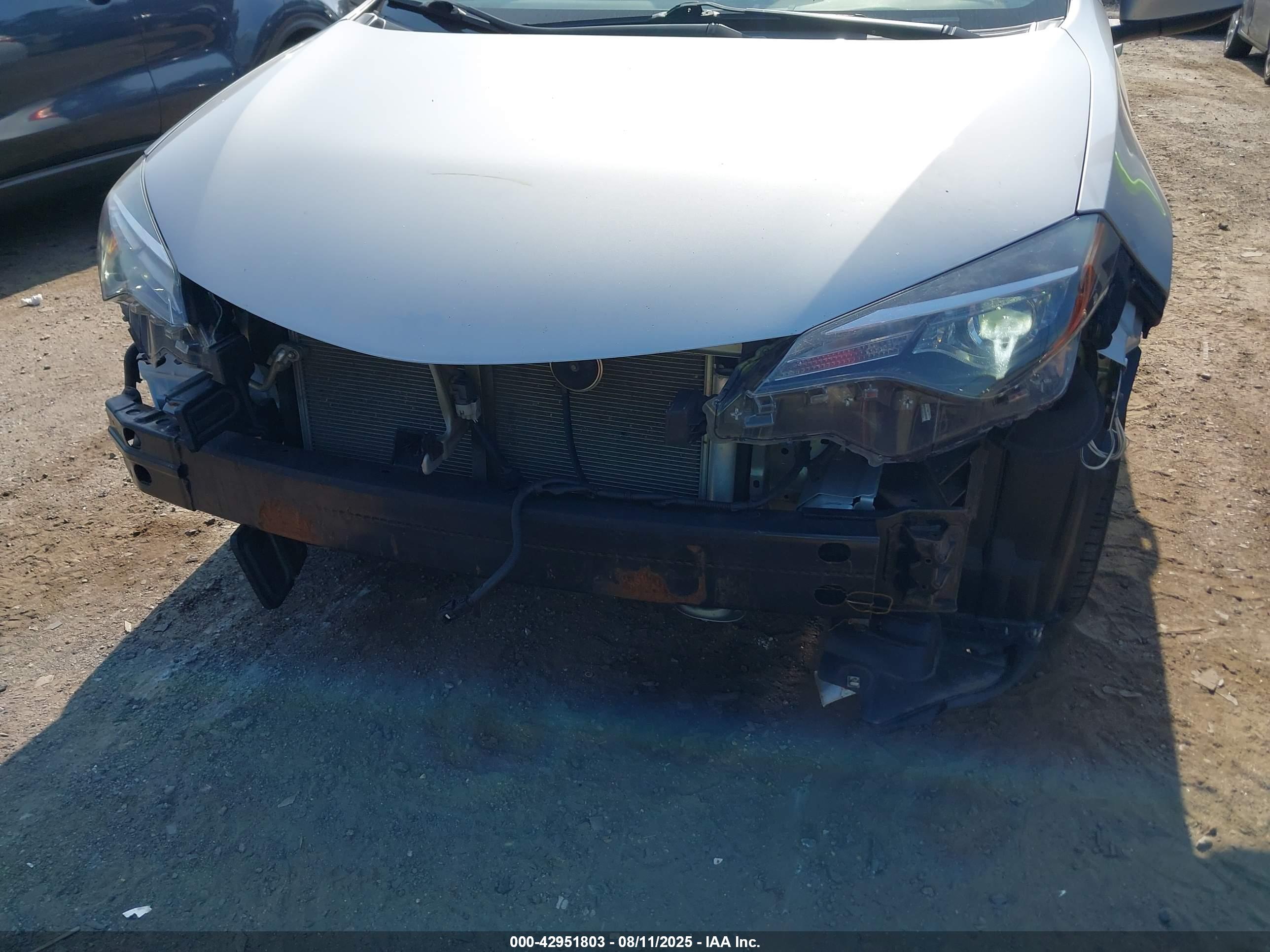 TOYOTA COROLLA image 6