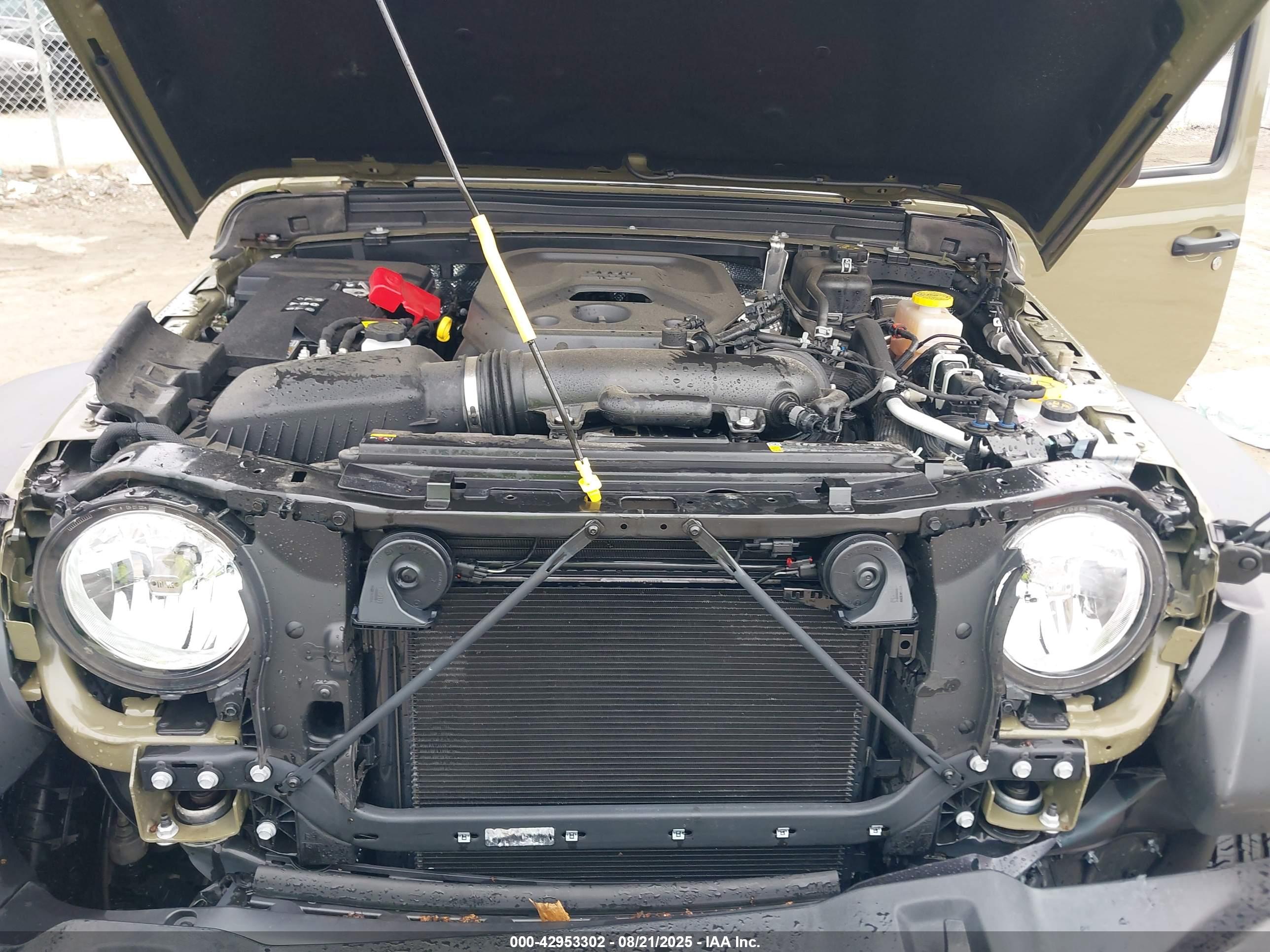 JEEP WRANGLER image 10