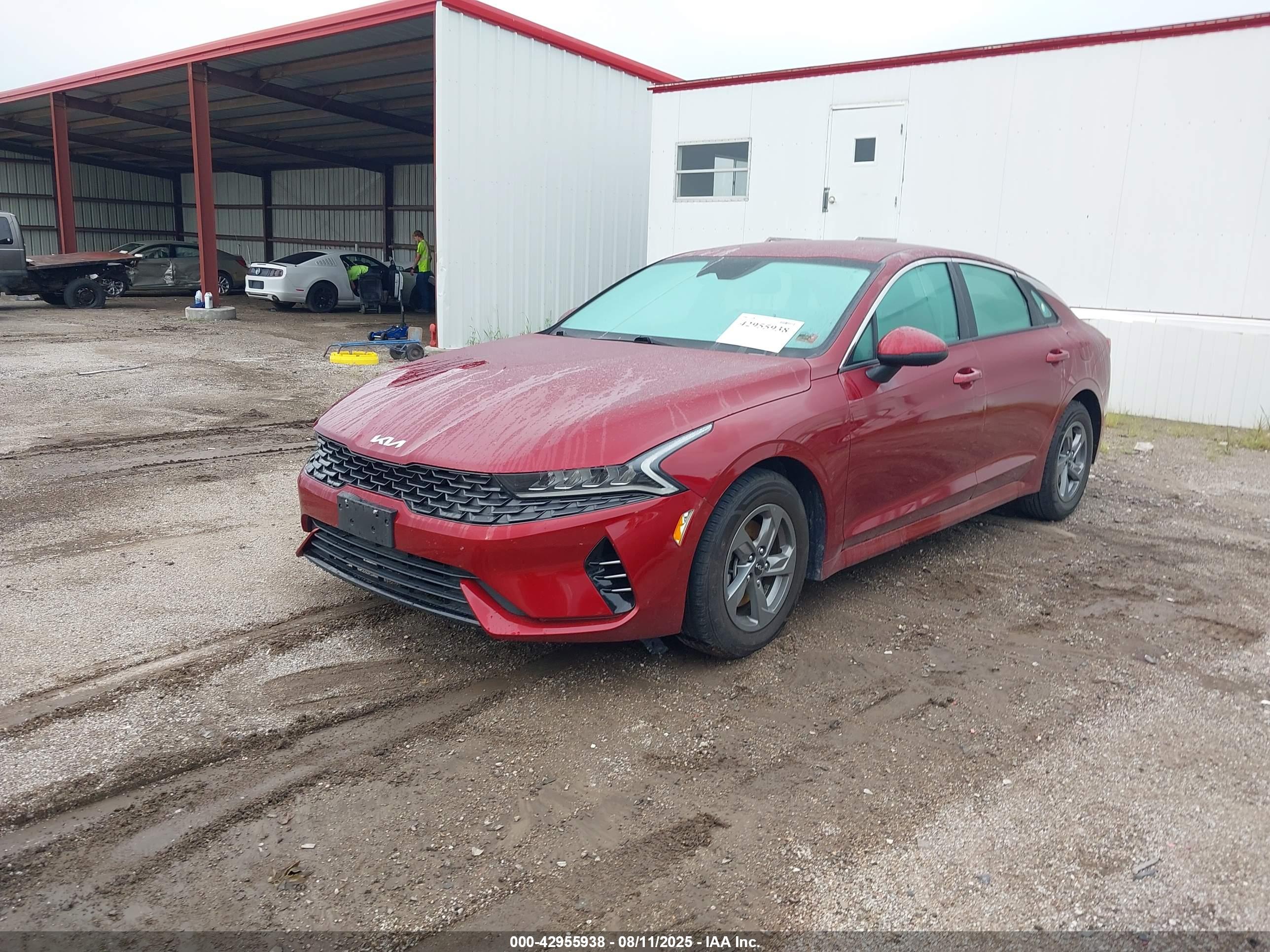 KIA K5 image 2