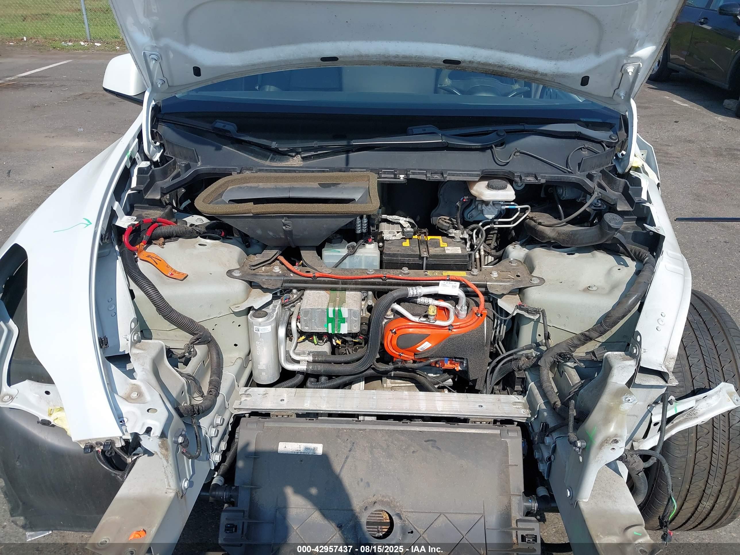 TESLA MODEL image 10