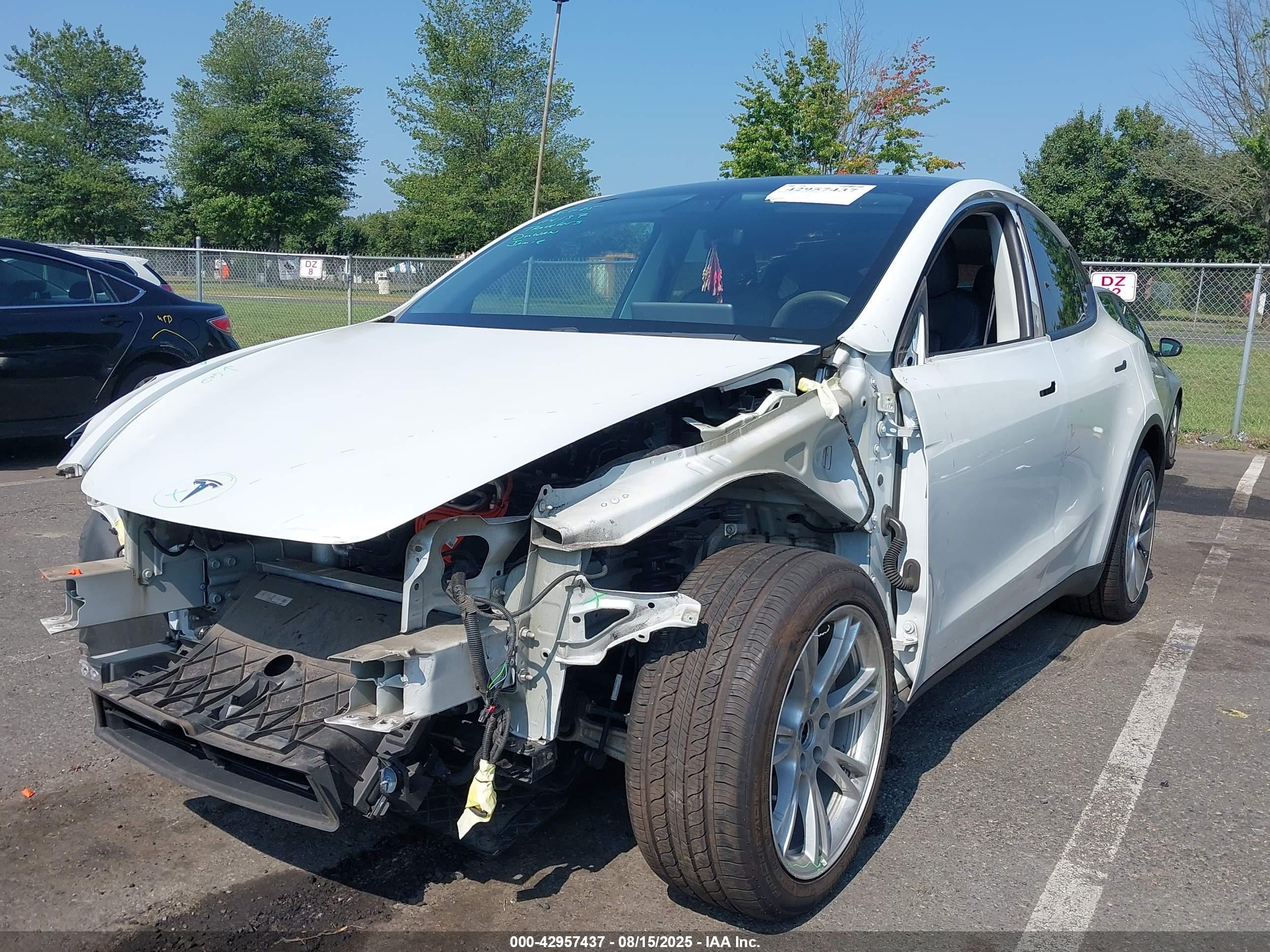 TESLA MODEL image 2