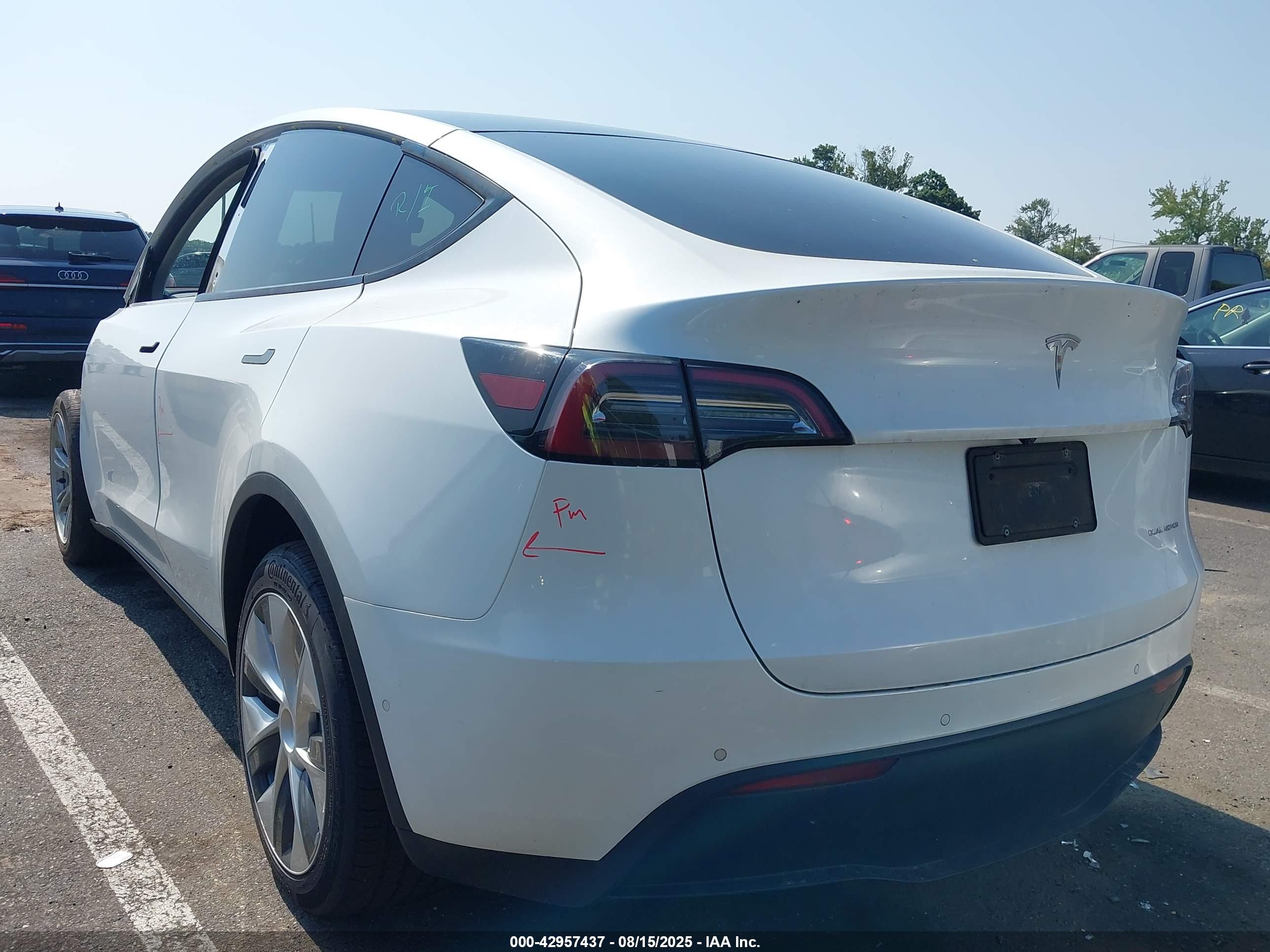 TESLA MODEL image 3