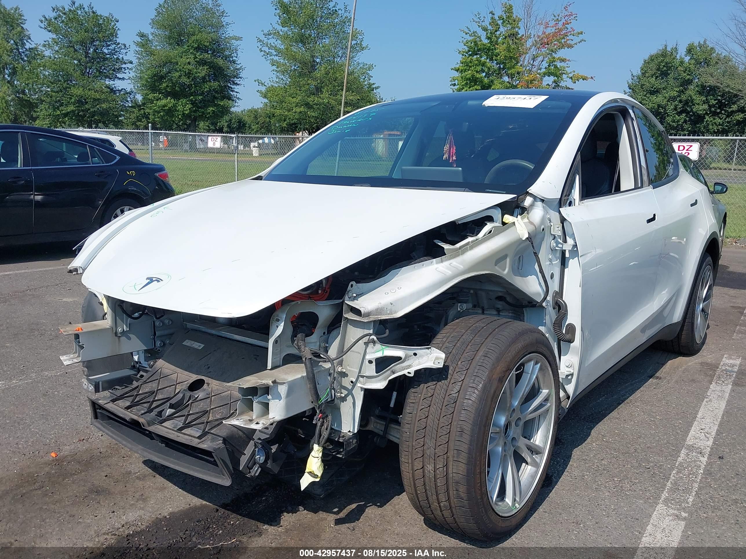 TESLA MODEL image 6