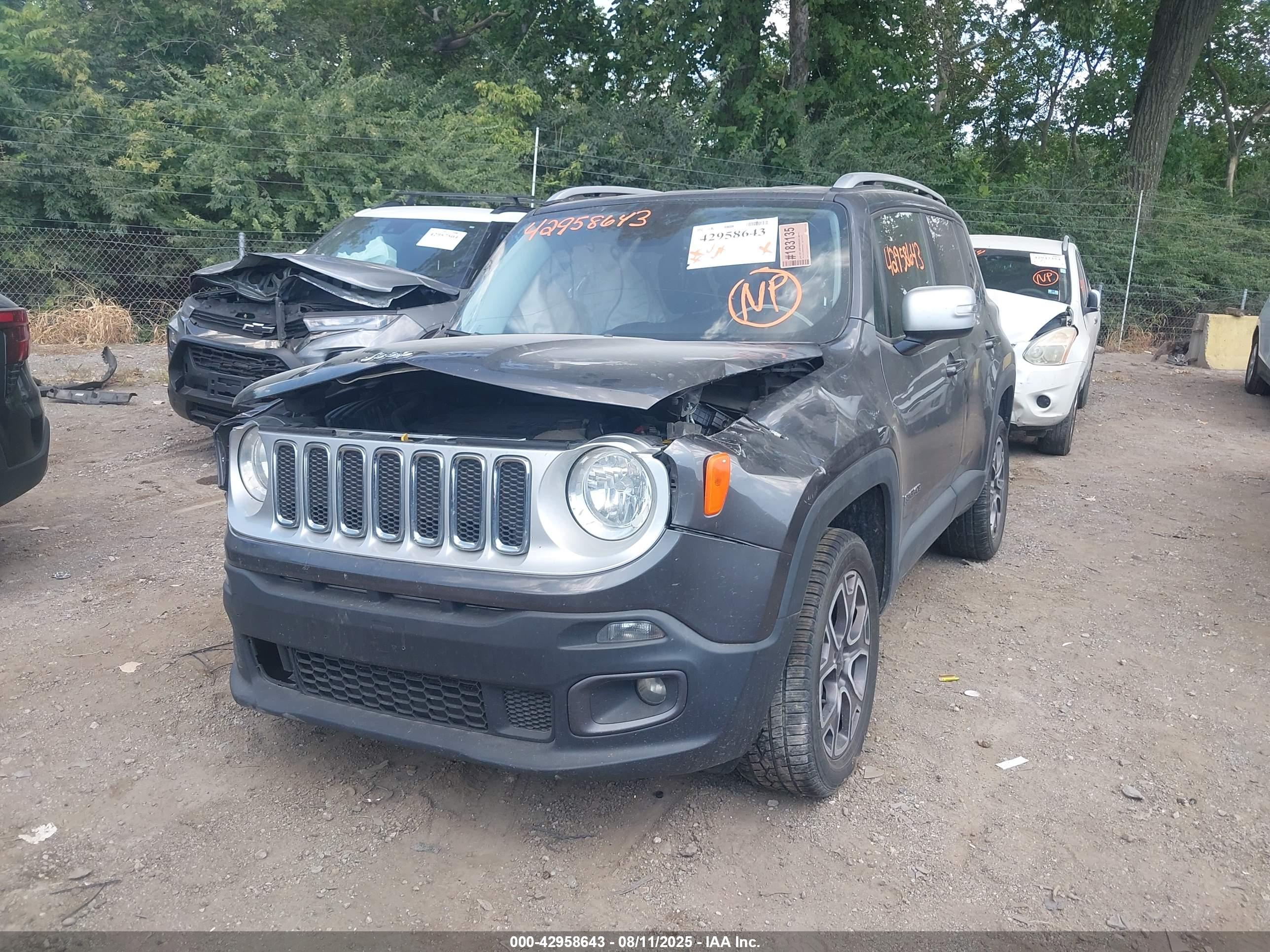 JEEP RENEGADE image 2