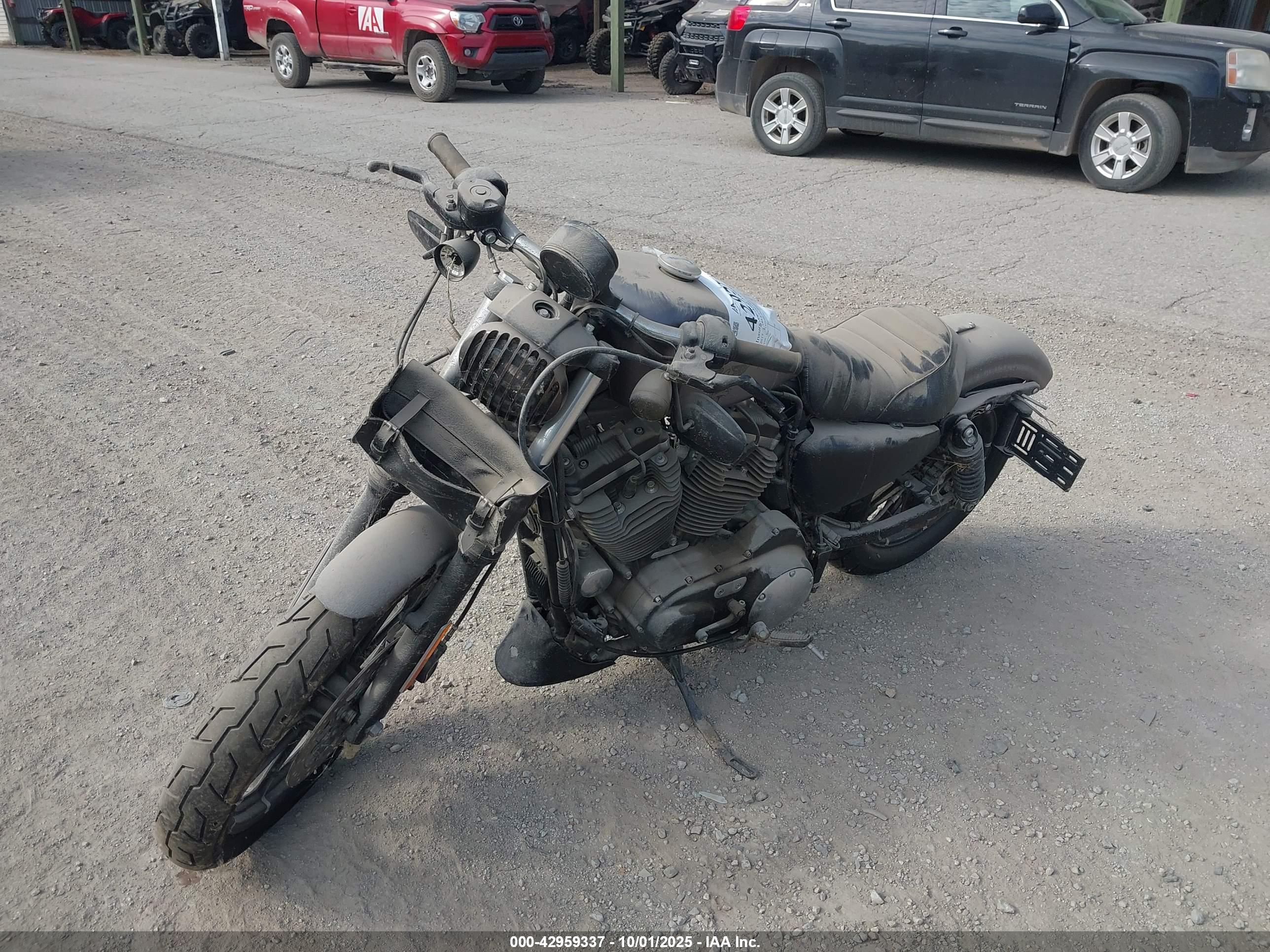 HARLEY-DAVIDSON XL883 image 2