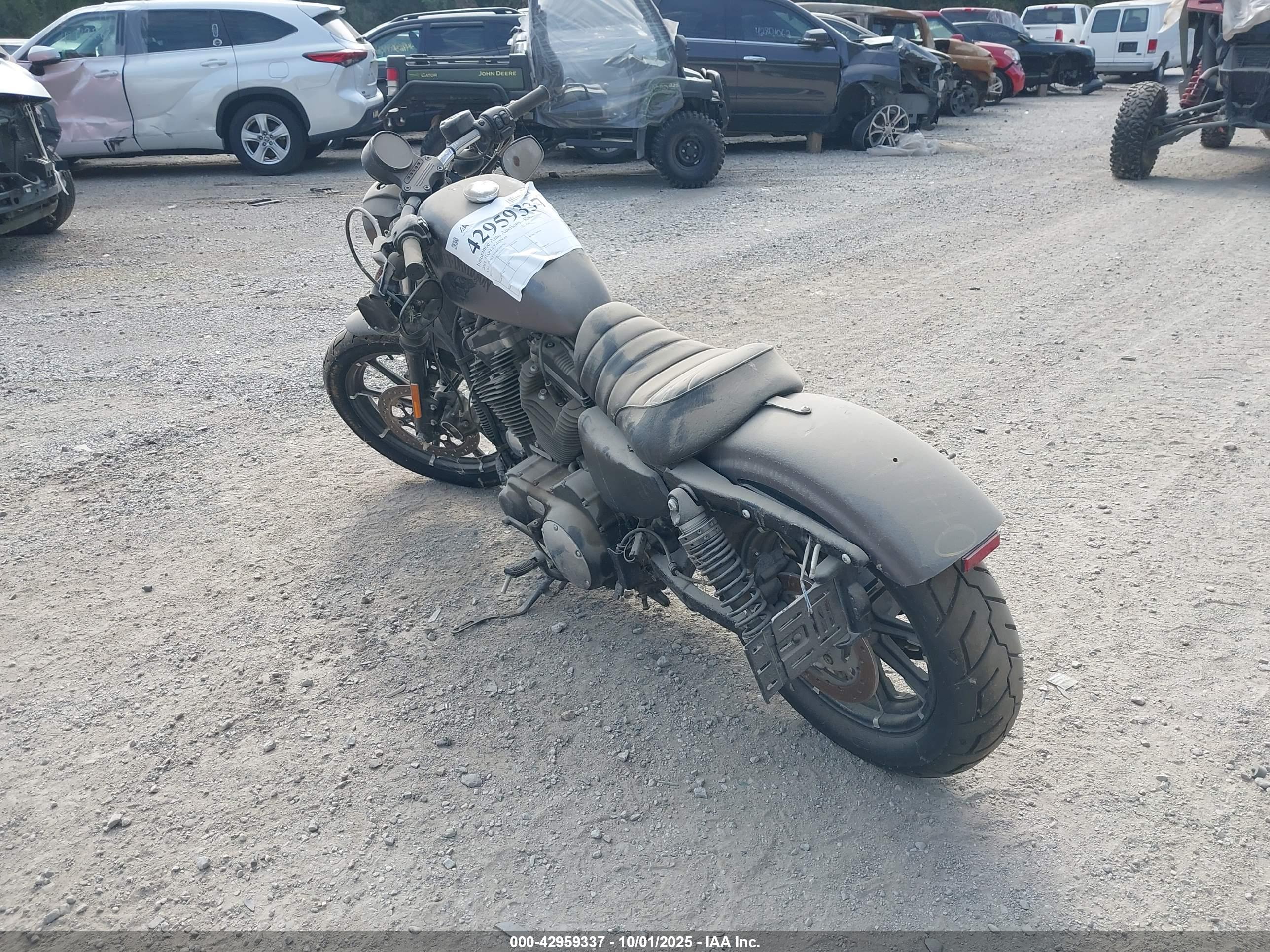 HARLEY-DAVIDSON XL883 image 3