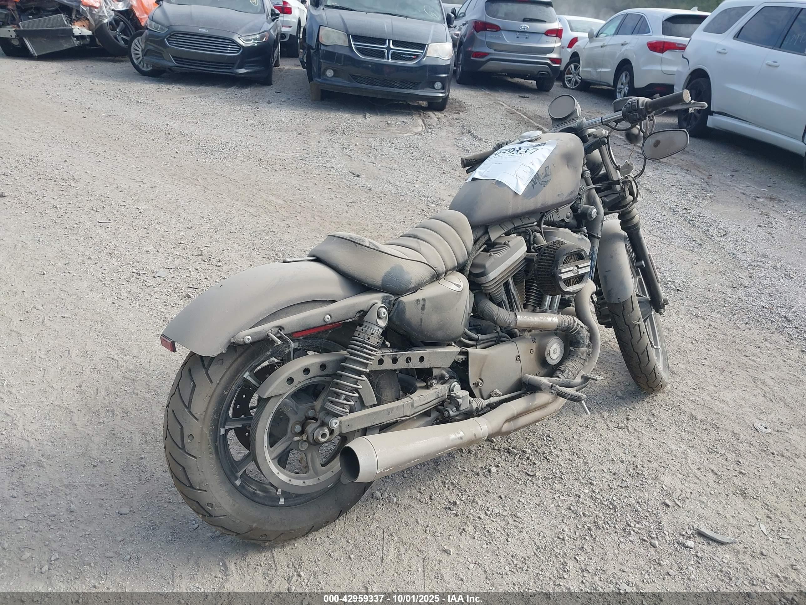 HARLEY-DAVIDSON XL883 image 4