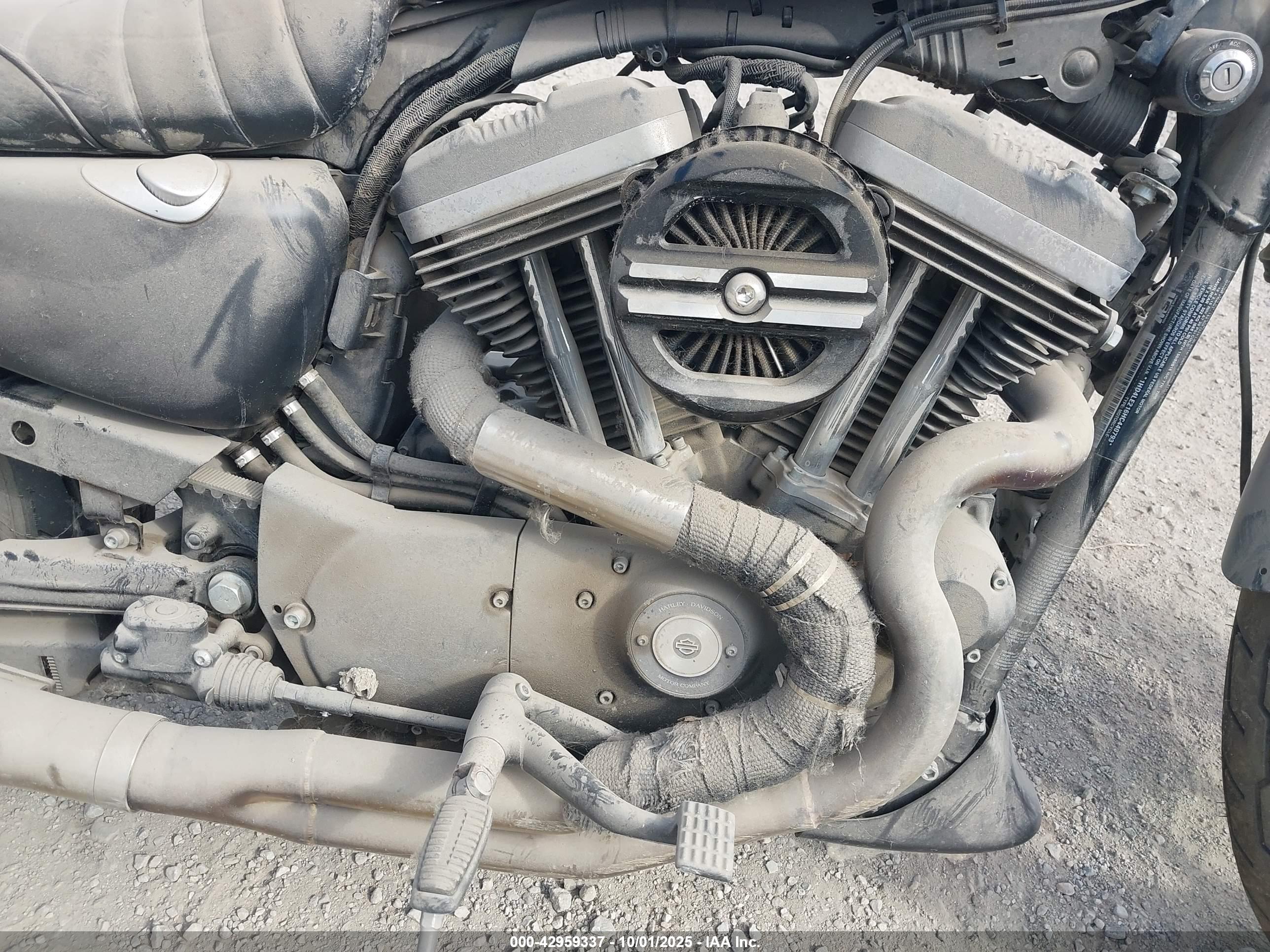 HARLEY-DAVIDSON XL883 image 8