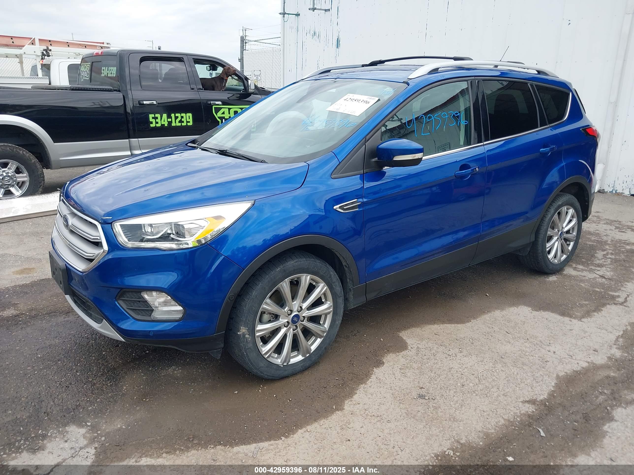 FORD ESCAPE image 2