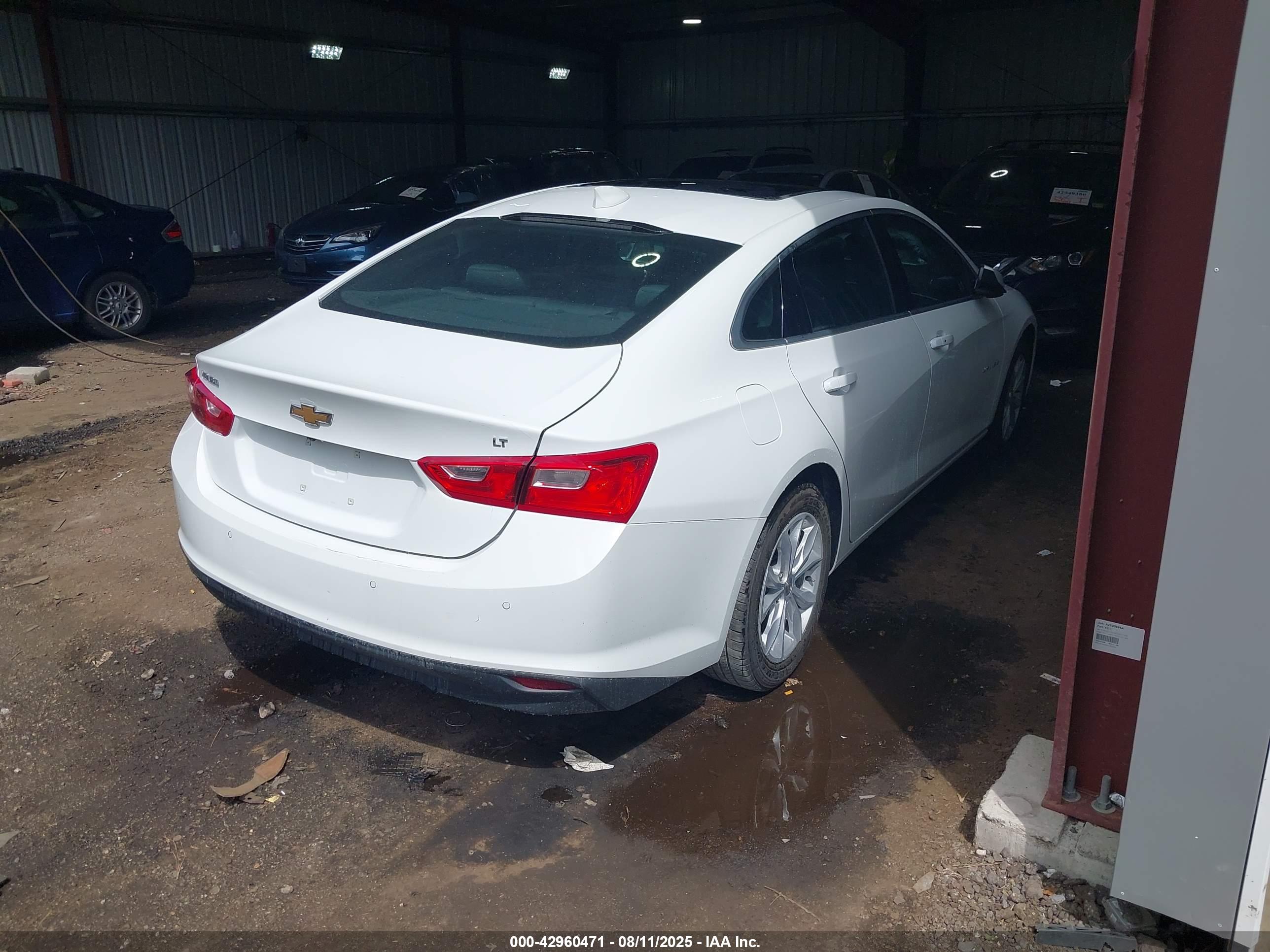 CHEVROLET MALIBU image 4