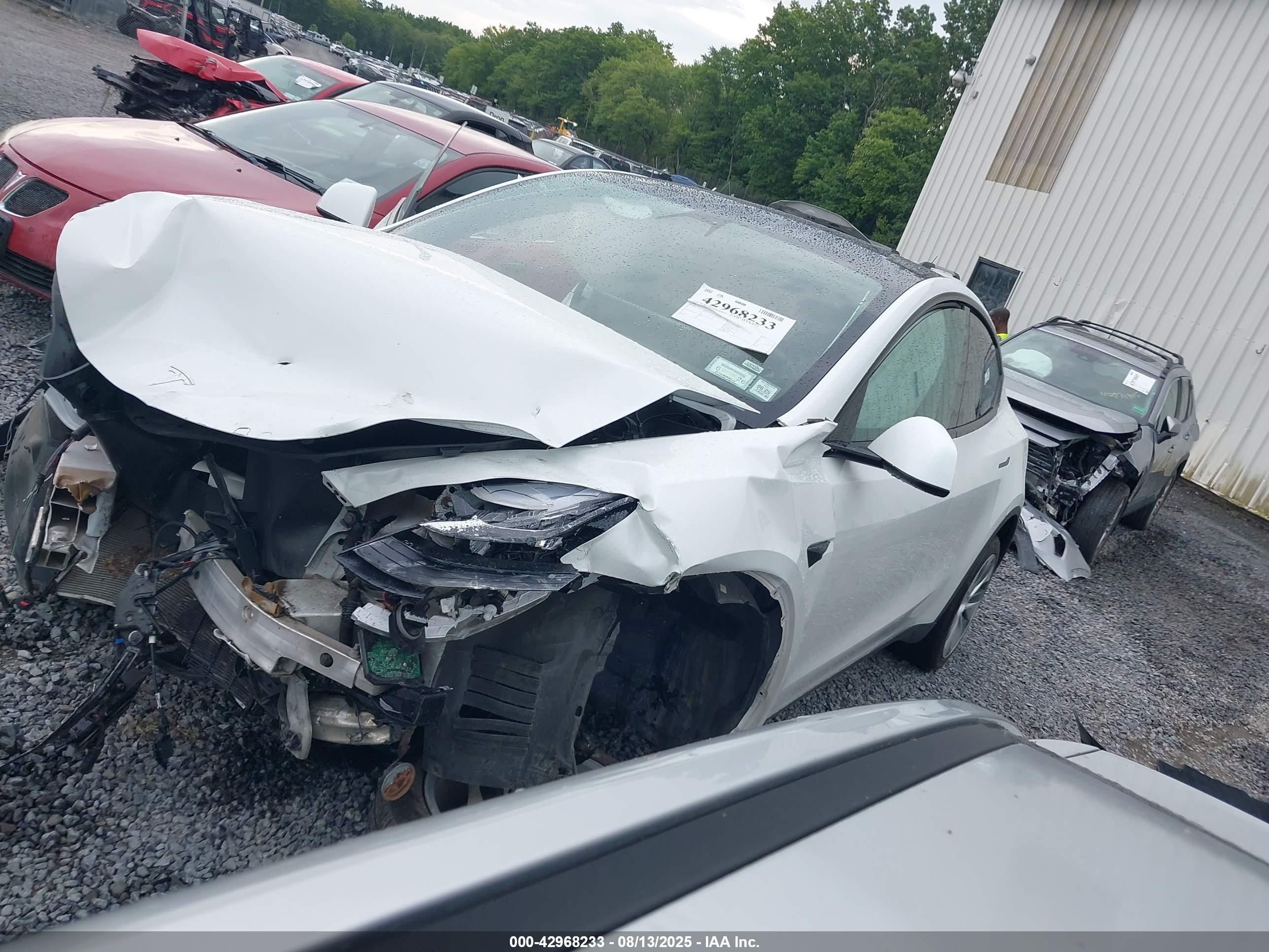 TESLA MODEL image 2
