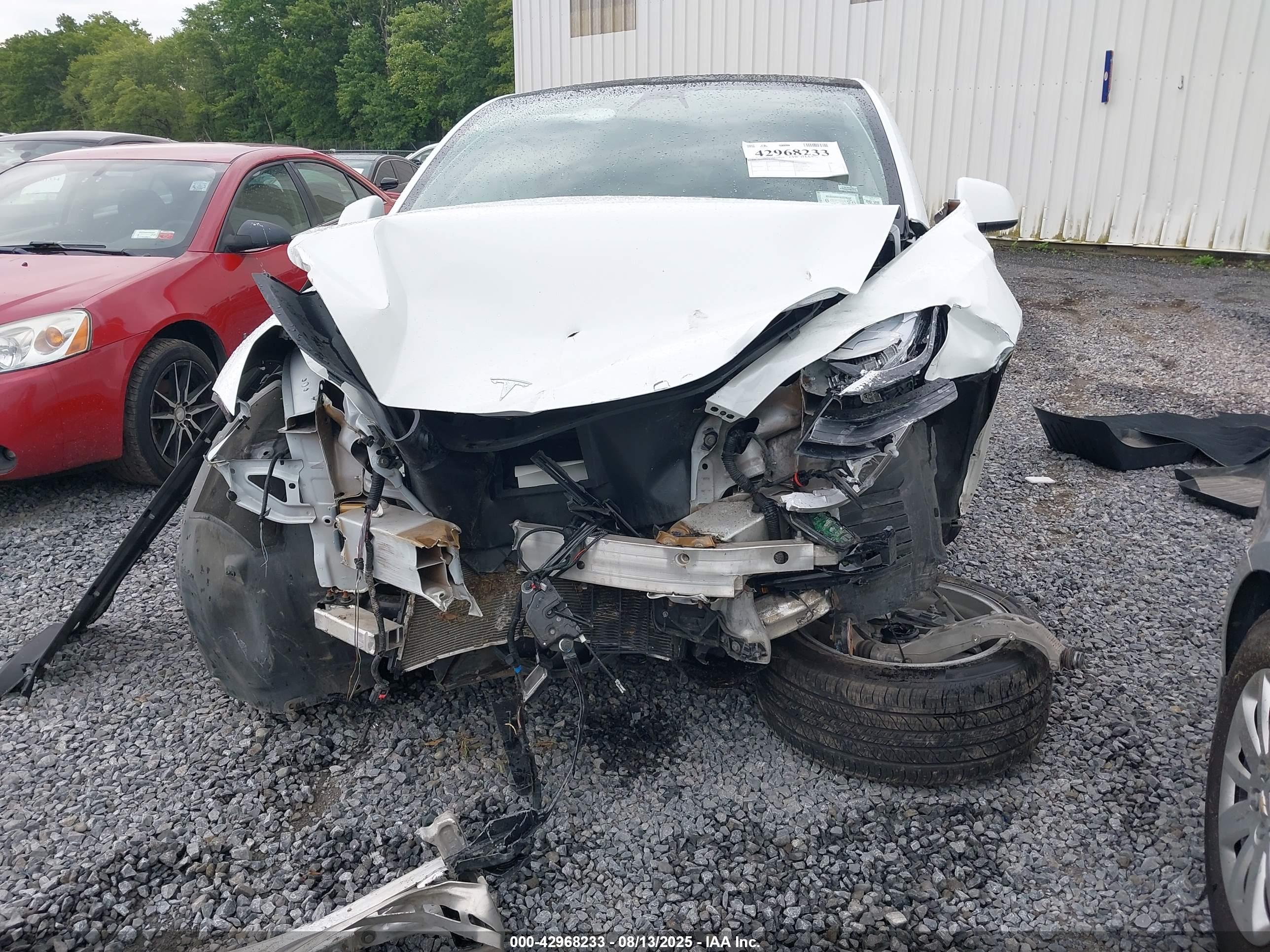TESLA MODEL image 6