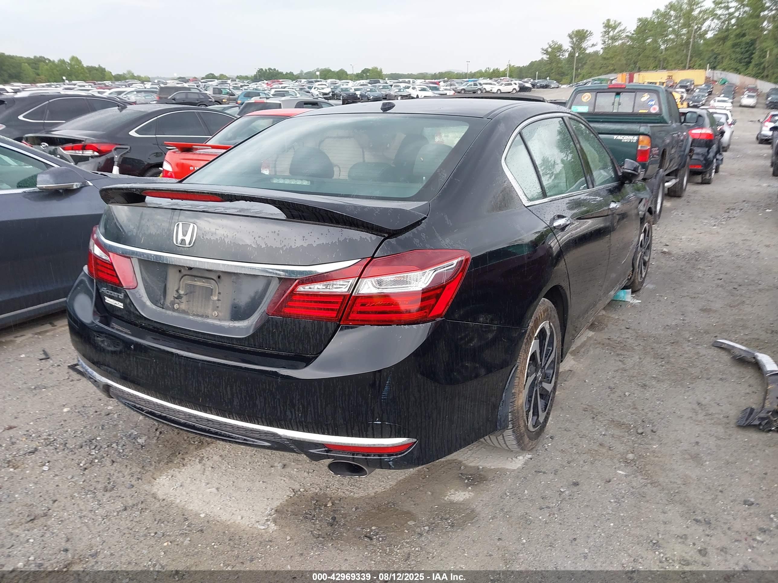 HONDA ACCORD image 4