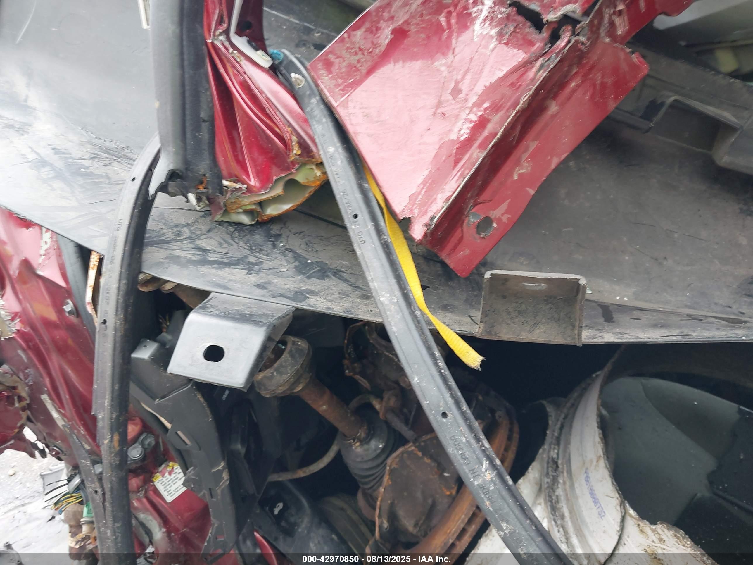HONDA ELEMENT image 7