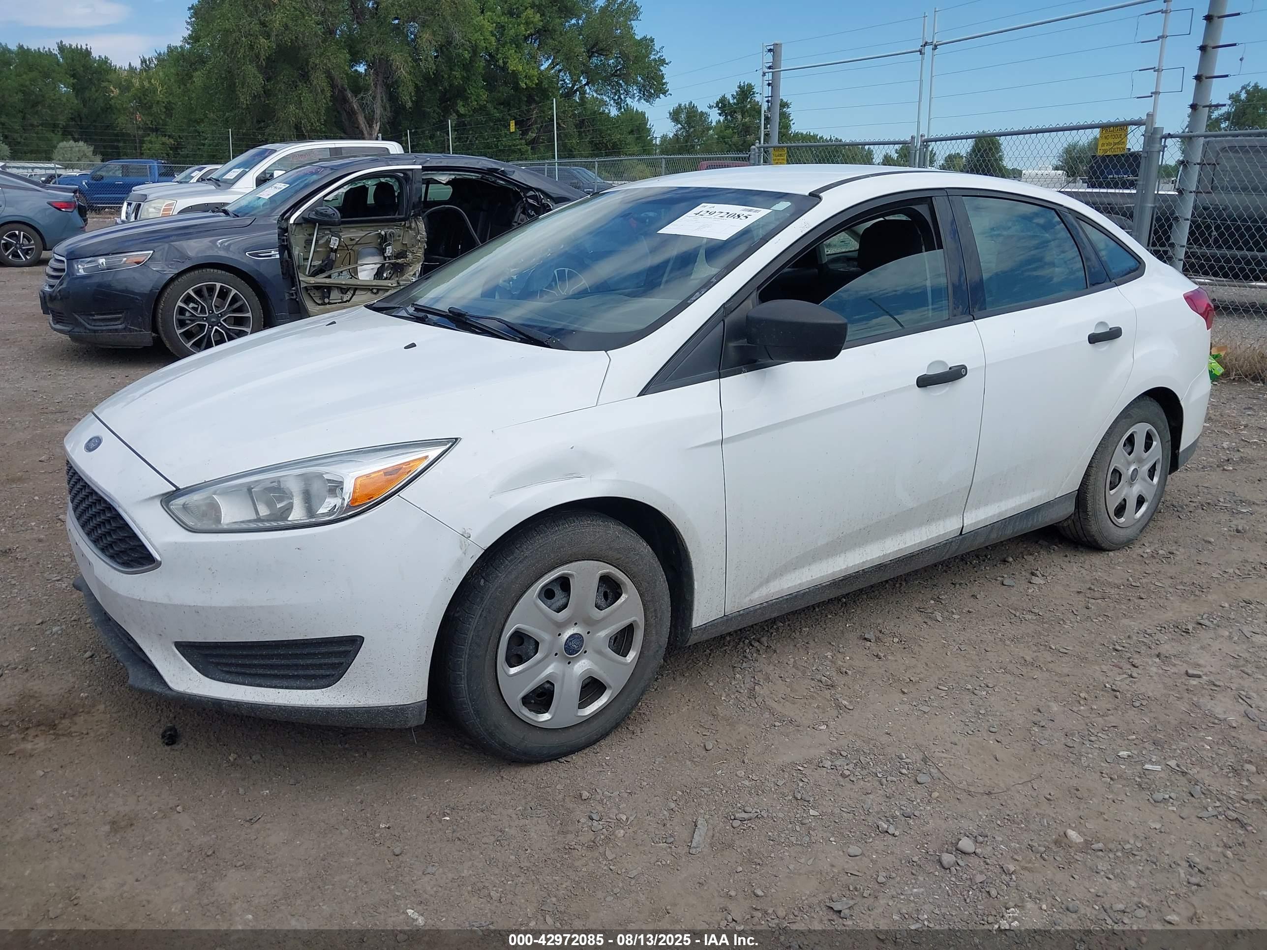 FORD FOCUS image 2