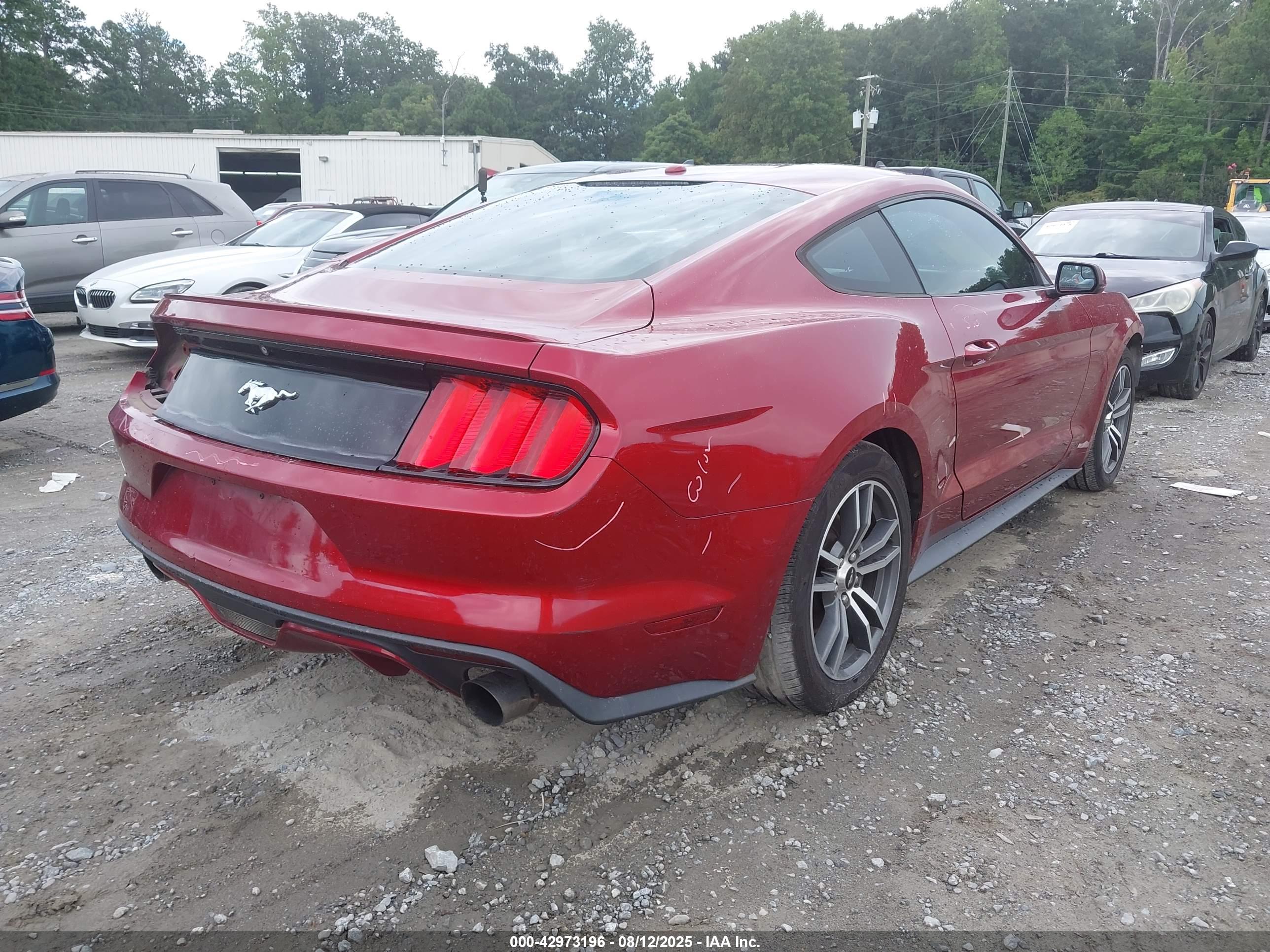 FORD MUSTANG image 4