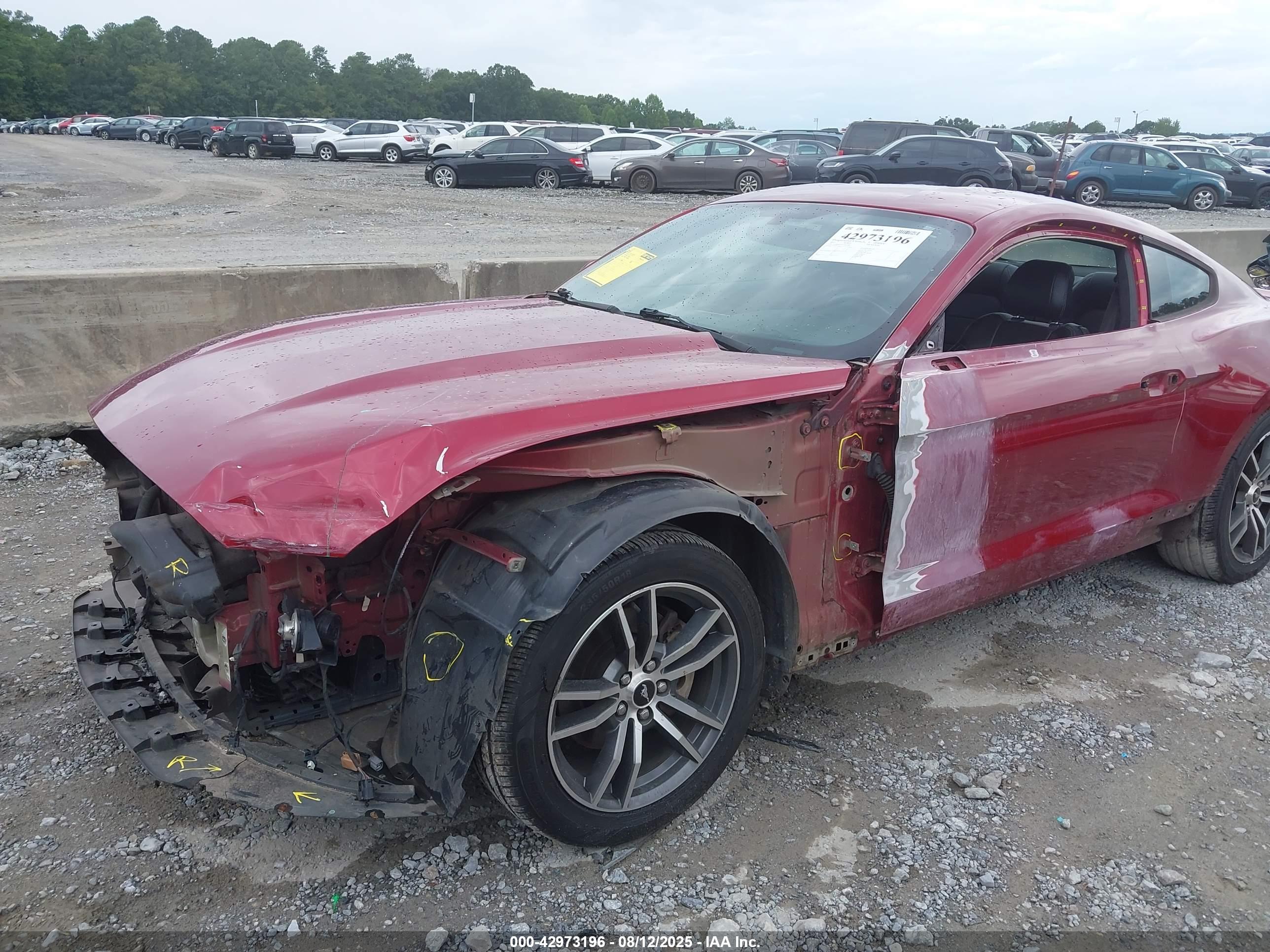 FORD MUSTANG image 6