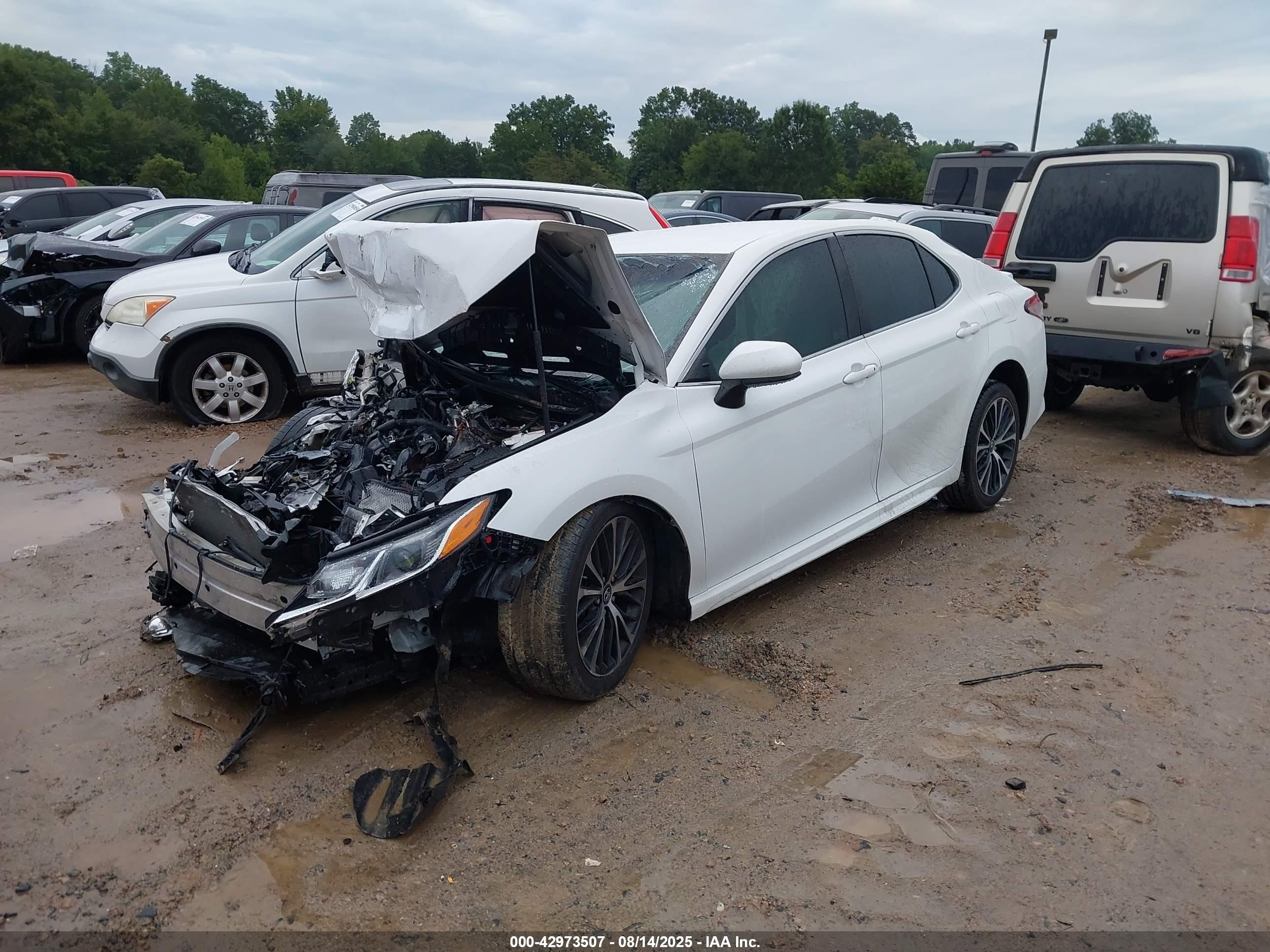 TOYOTA CAMRY image 2