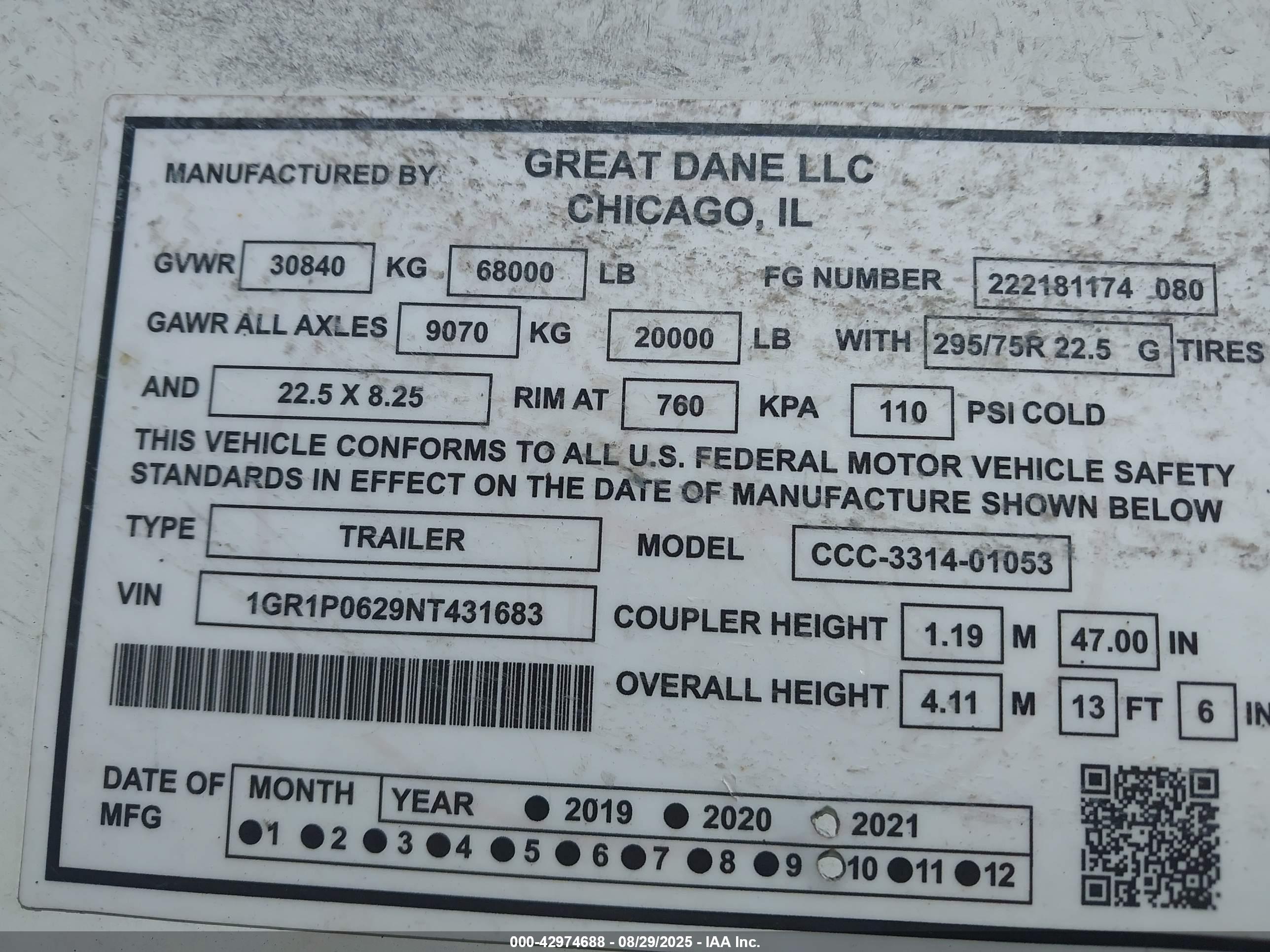 GREAT DANE image 9