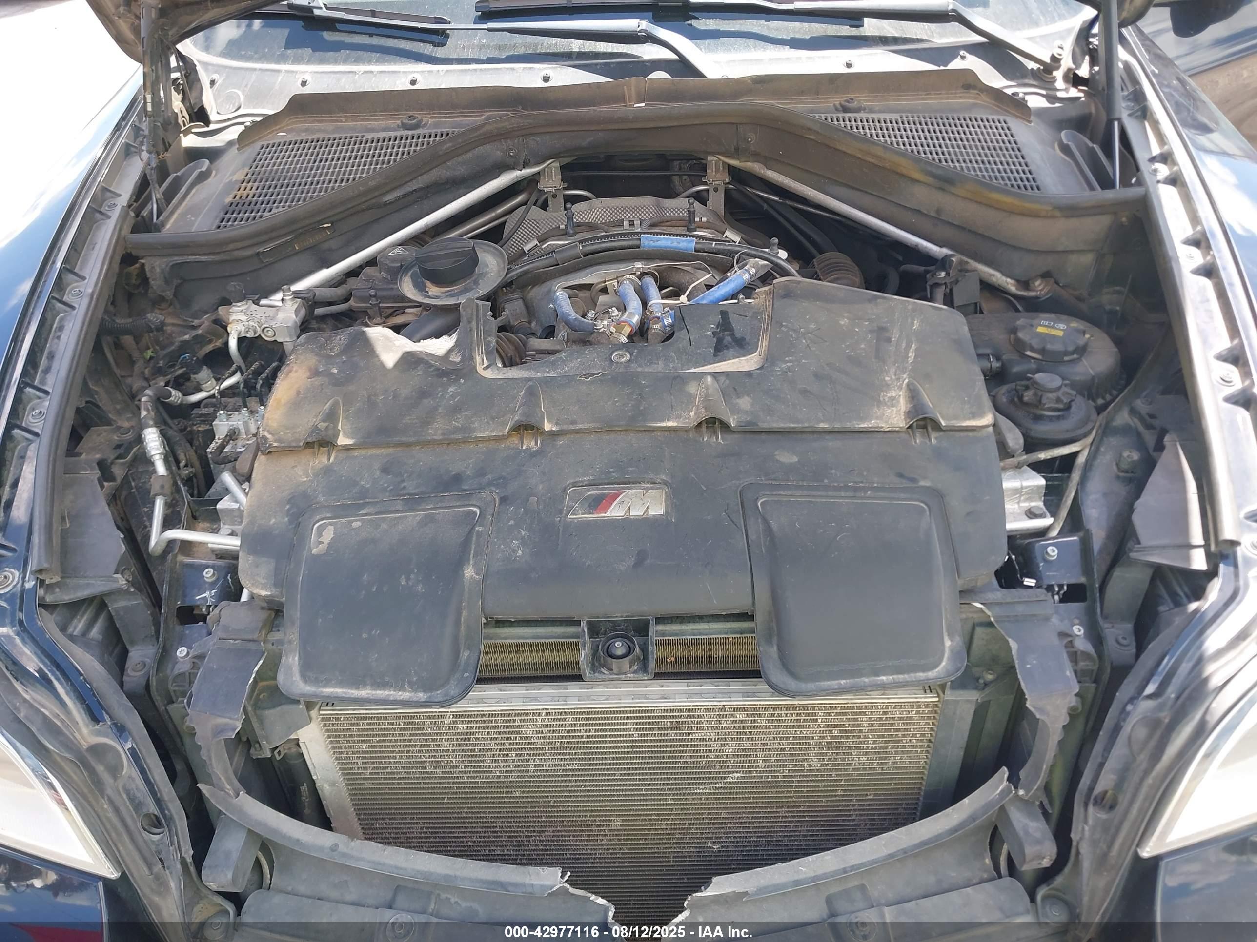 BMW X6 image 10