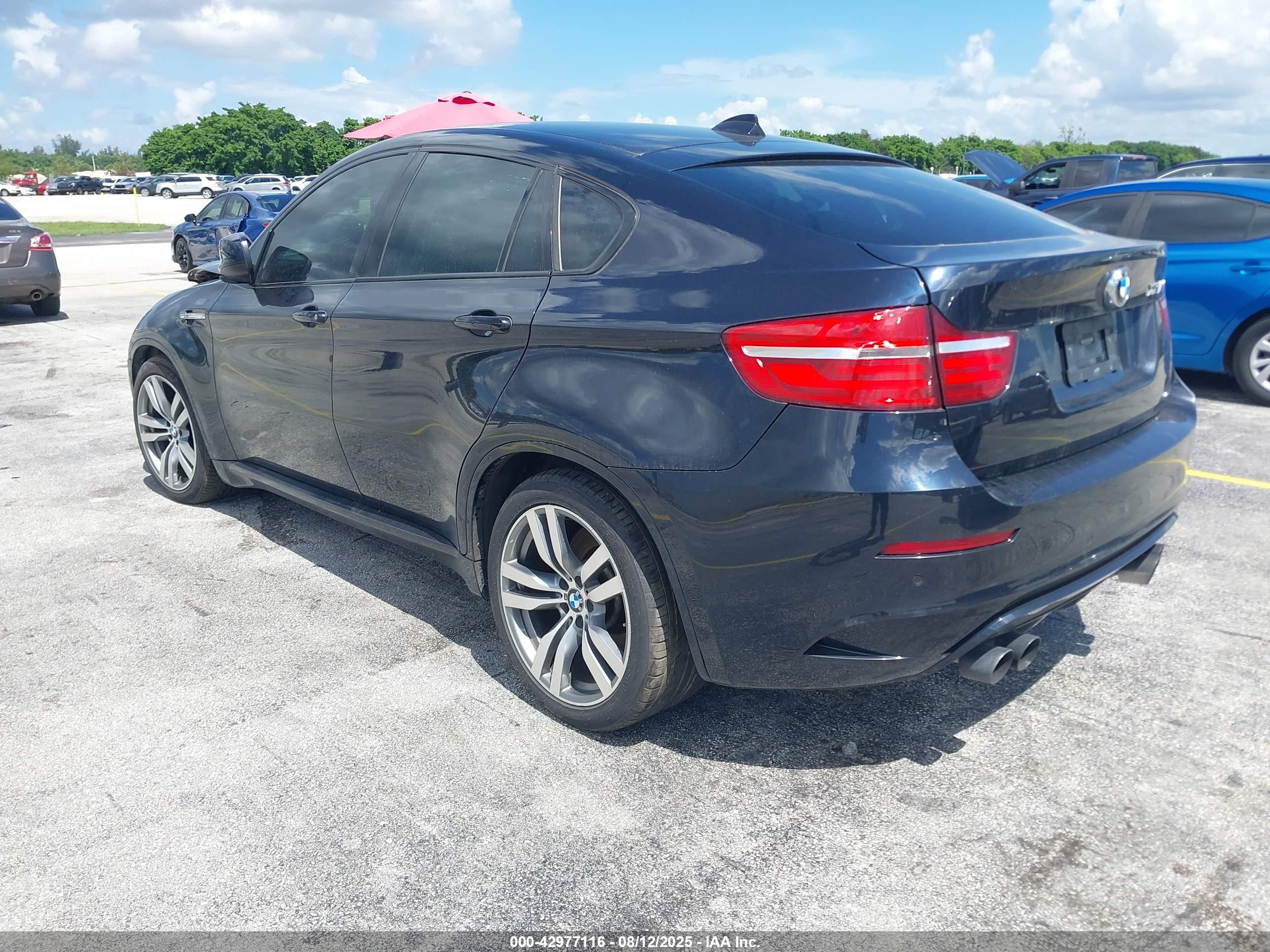 BMW X6 image 3