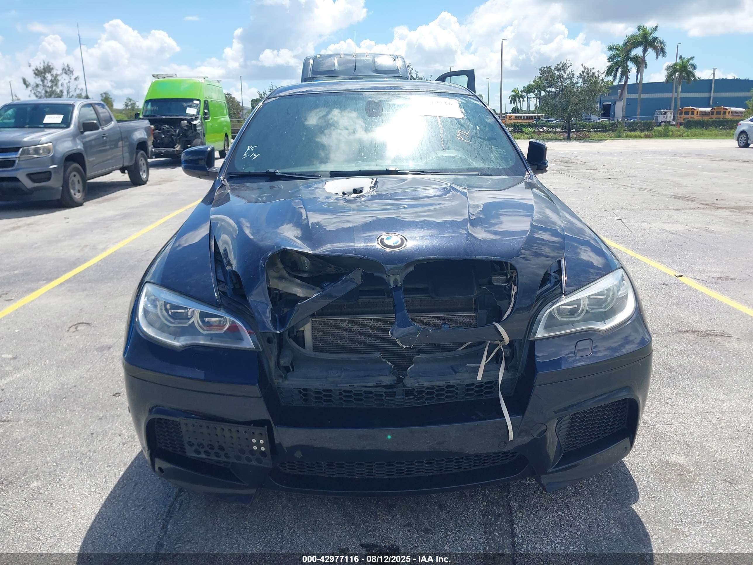 BMW X6 image 6