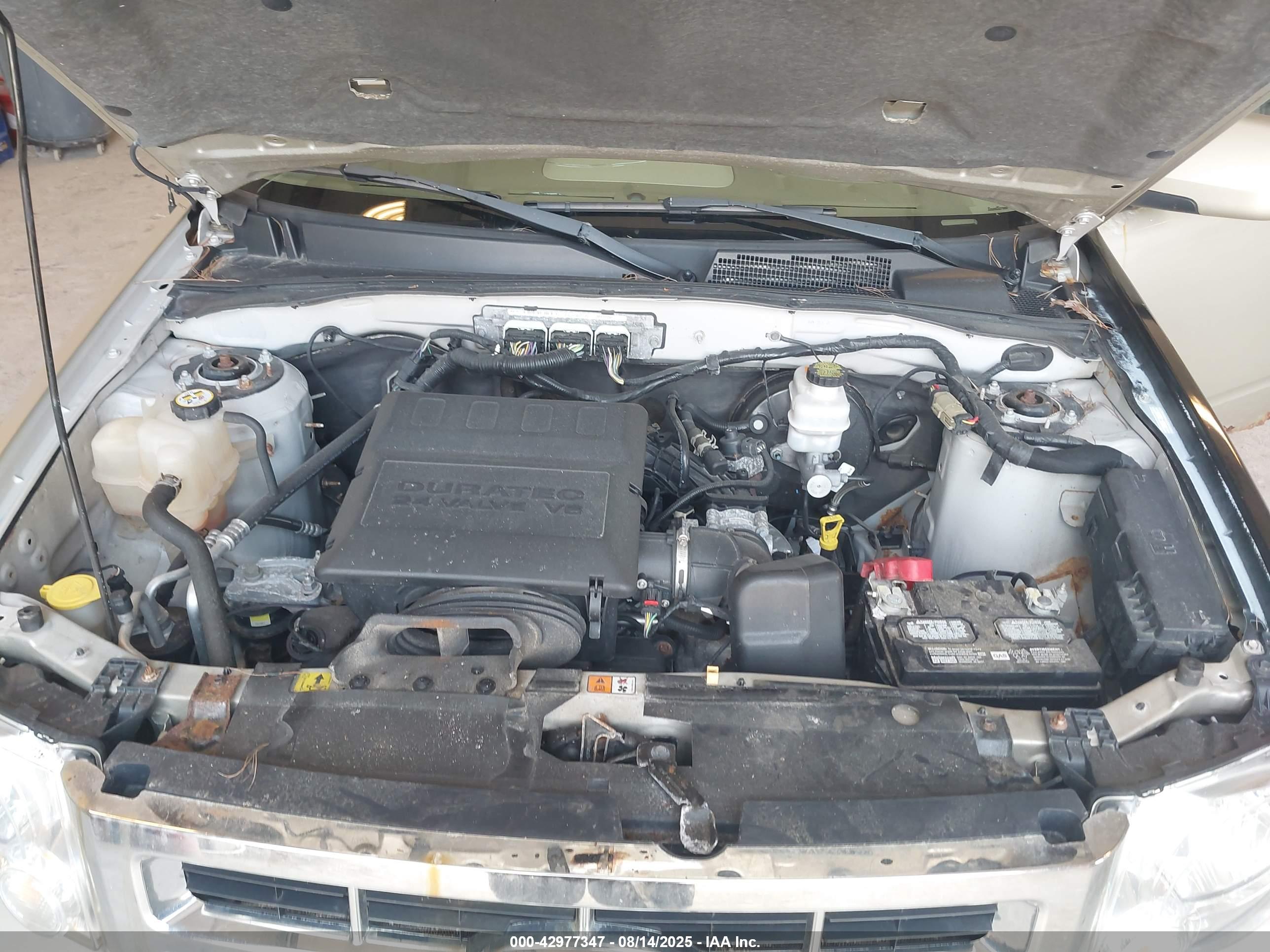 FORD ESCAPE image 10