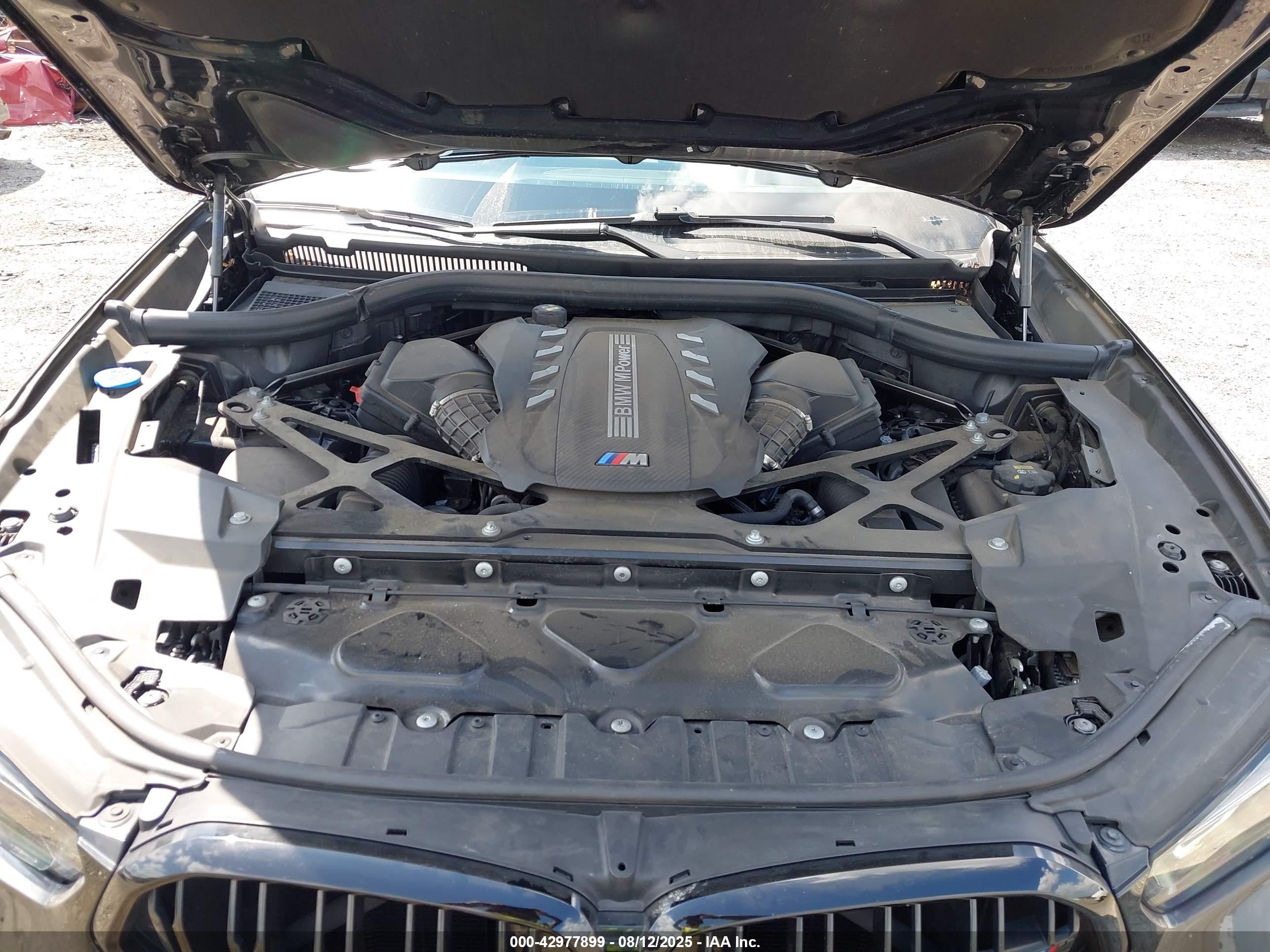 BMW X6 image 10