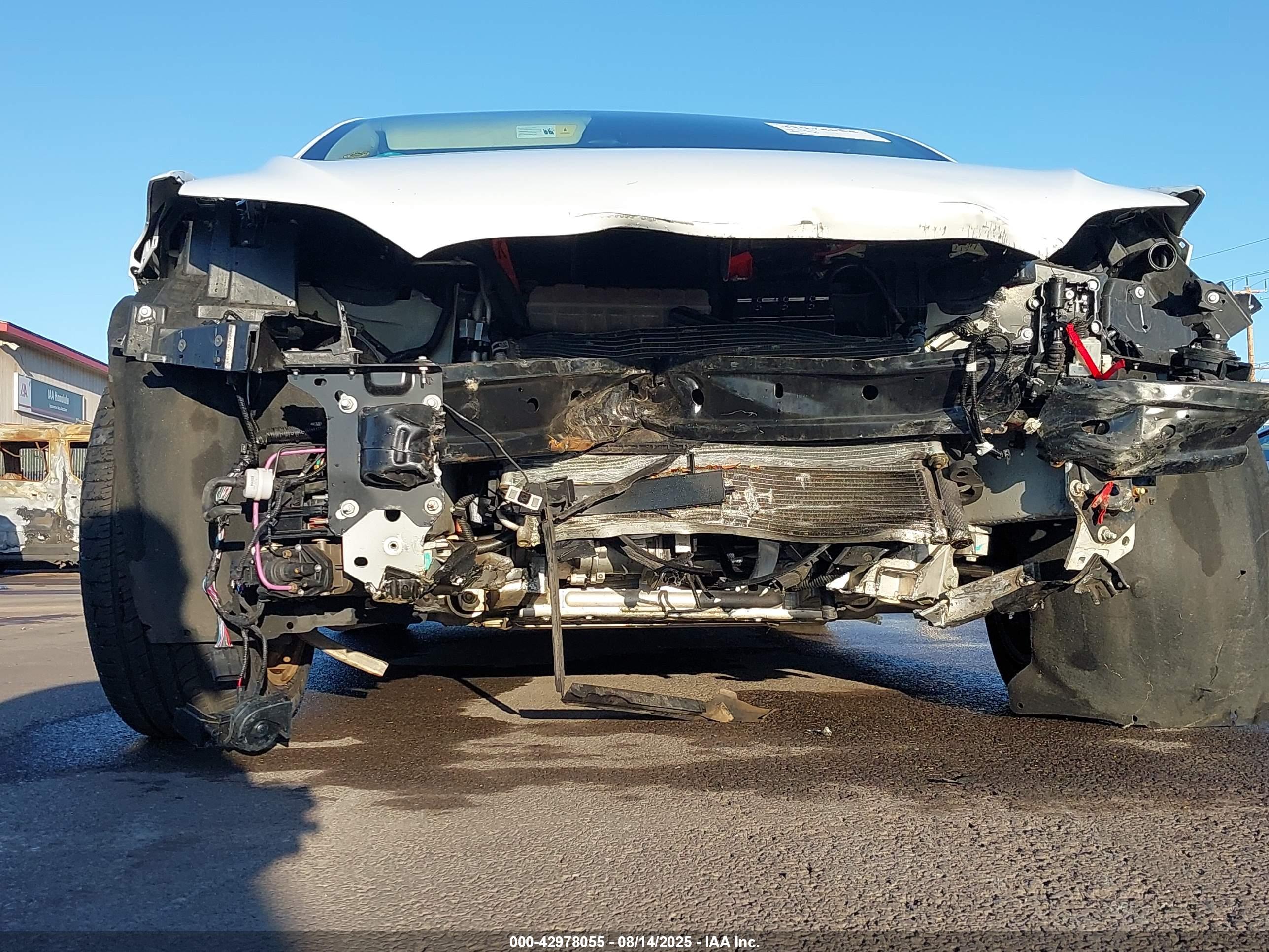 TESLA MODEL image 6