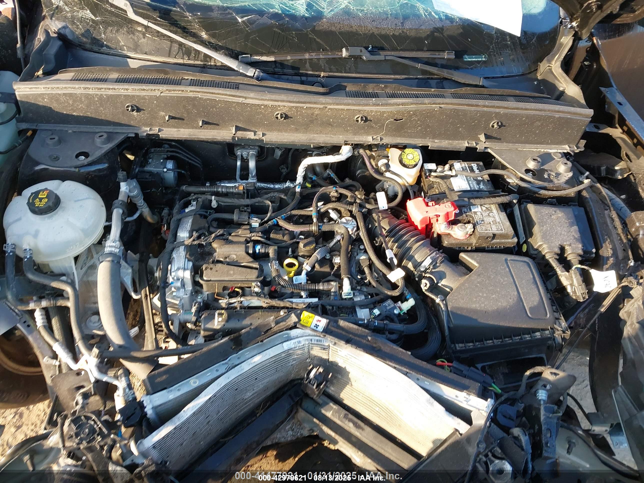 FORD BRONCO image 10