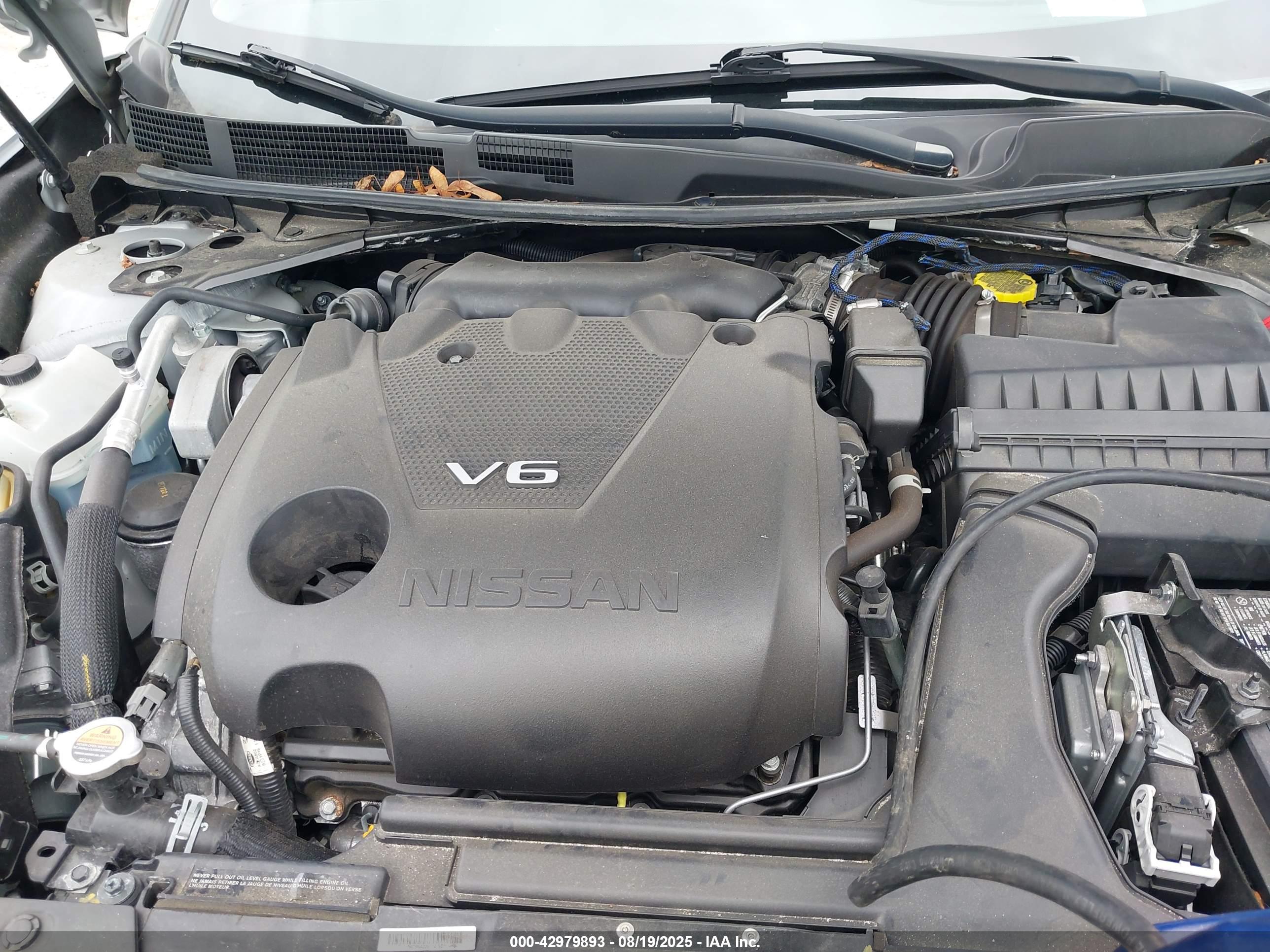 NISSAN MAXIMA image 10