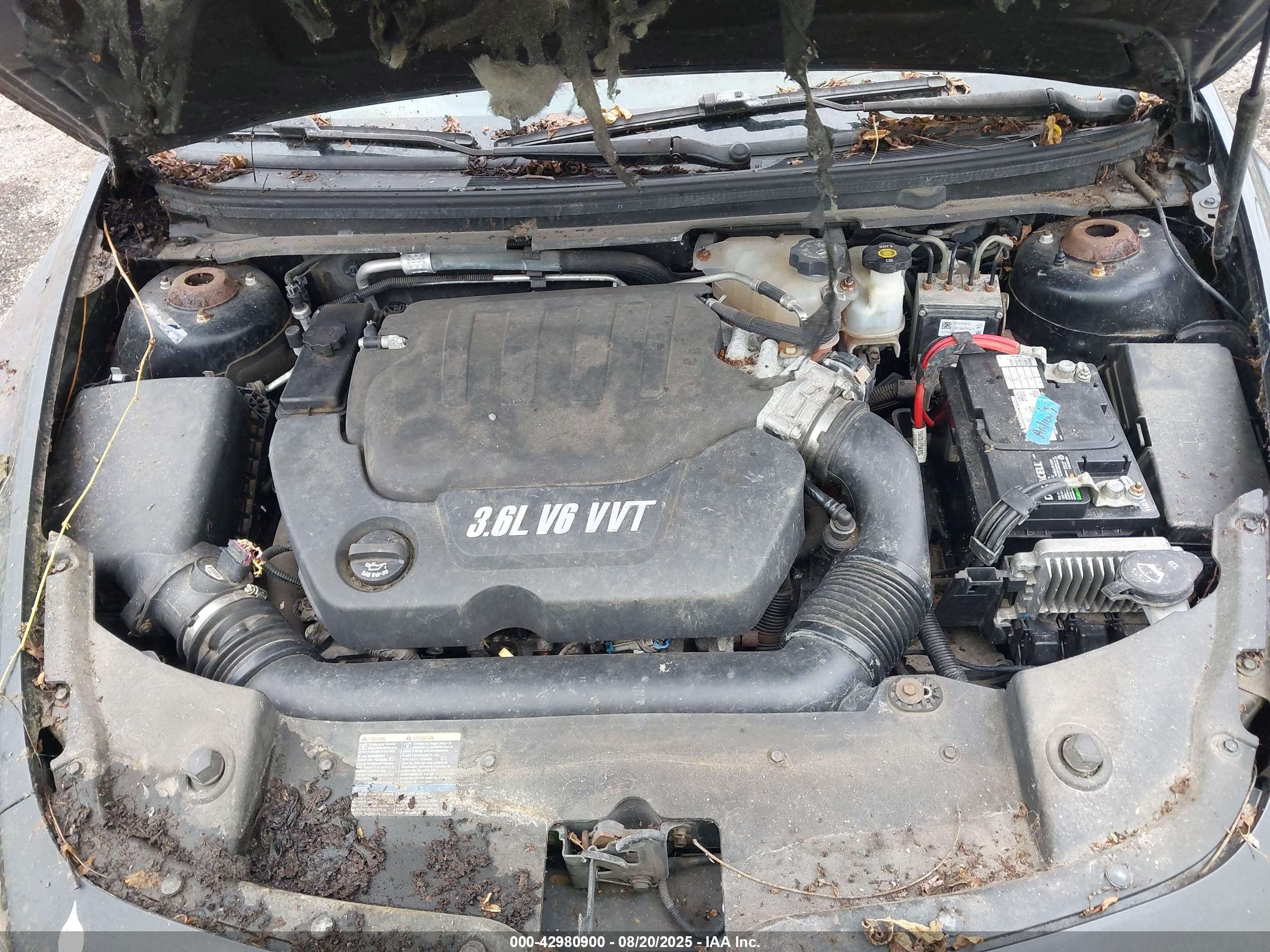 CHEVROLET MALIBU image 10