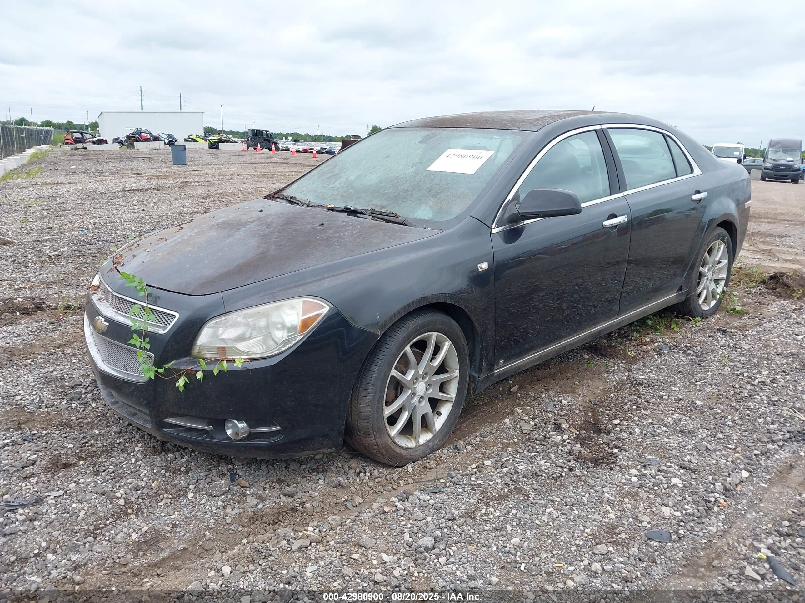 CHEVROLET MALIBU image 2