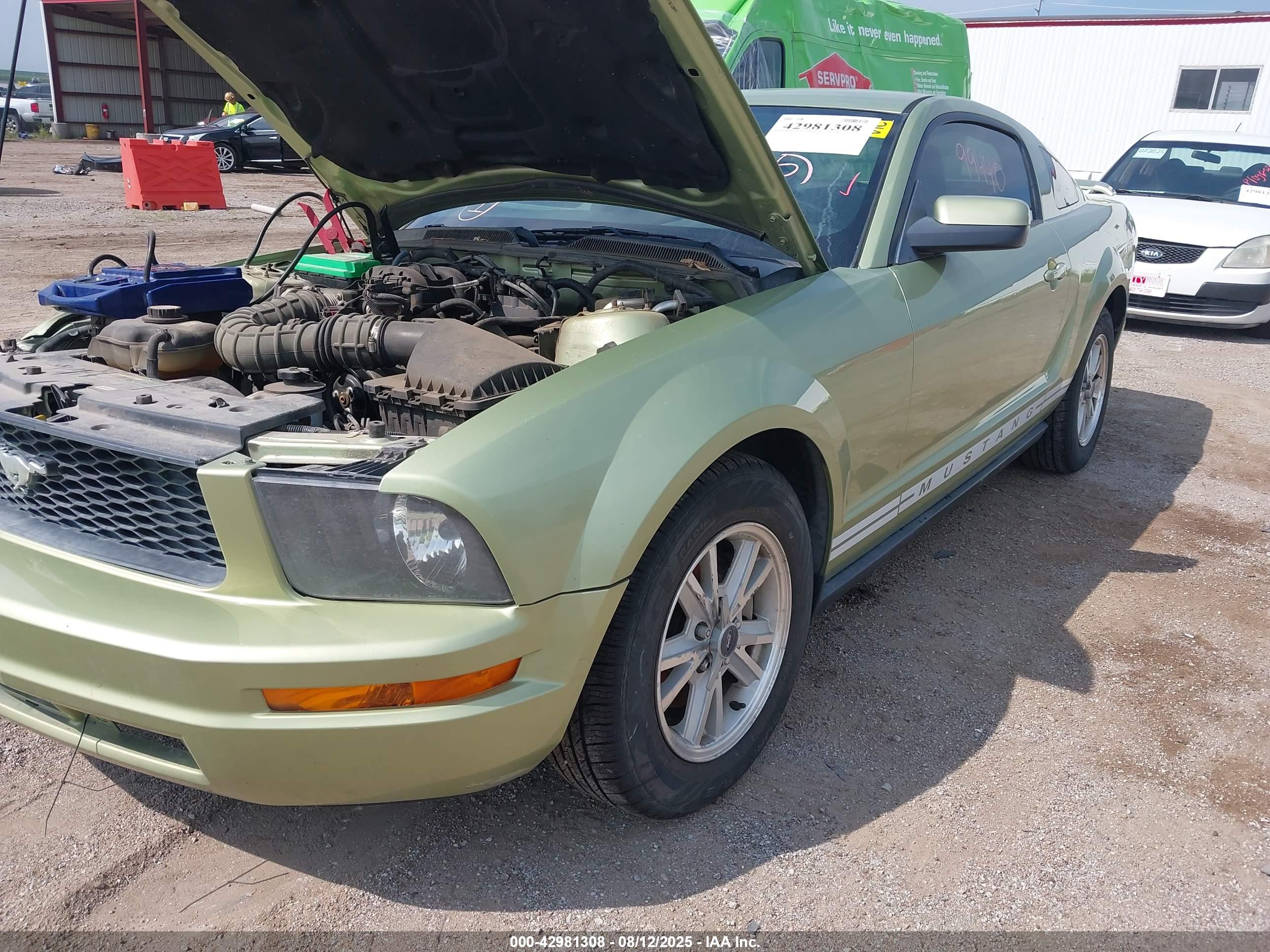 FORD MUSTANG image 2