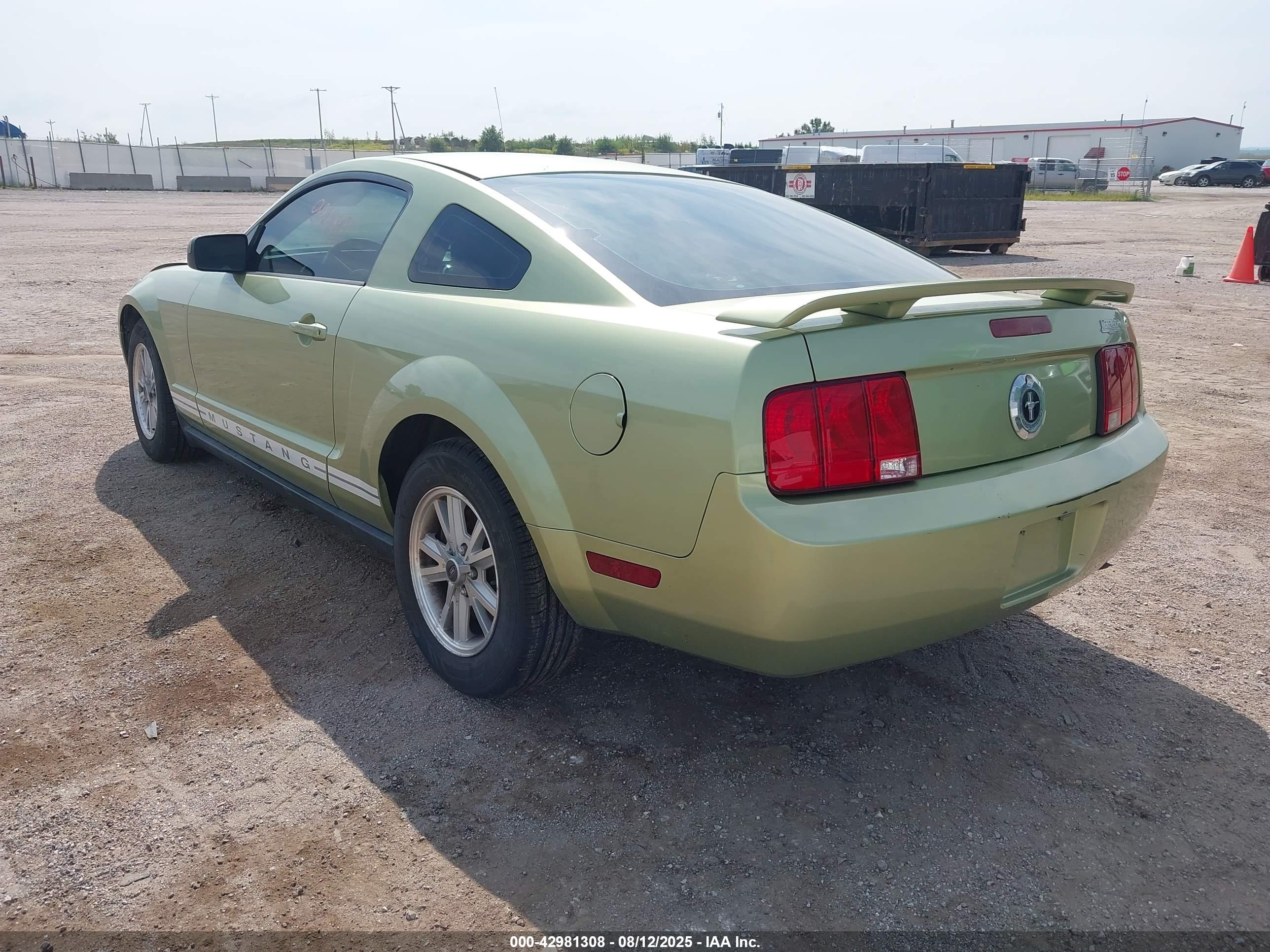 FORD MUSTANG image 3
