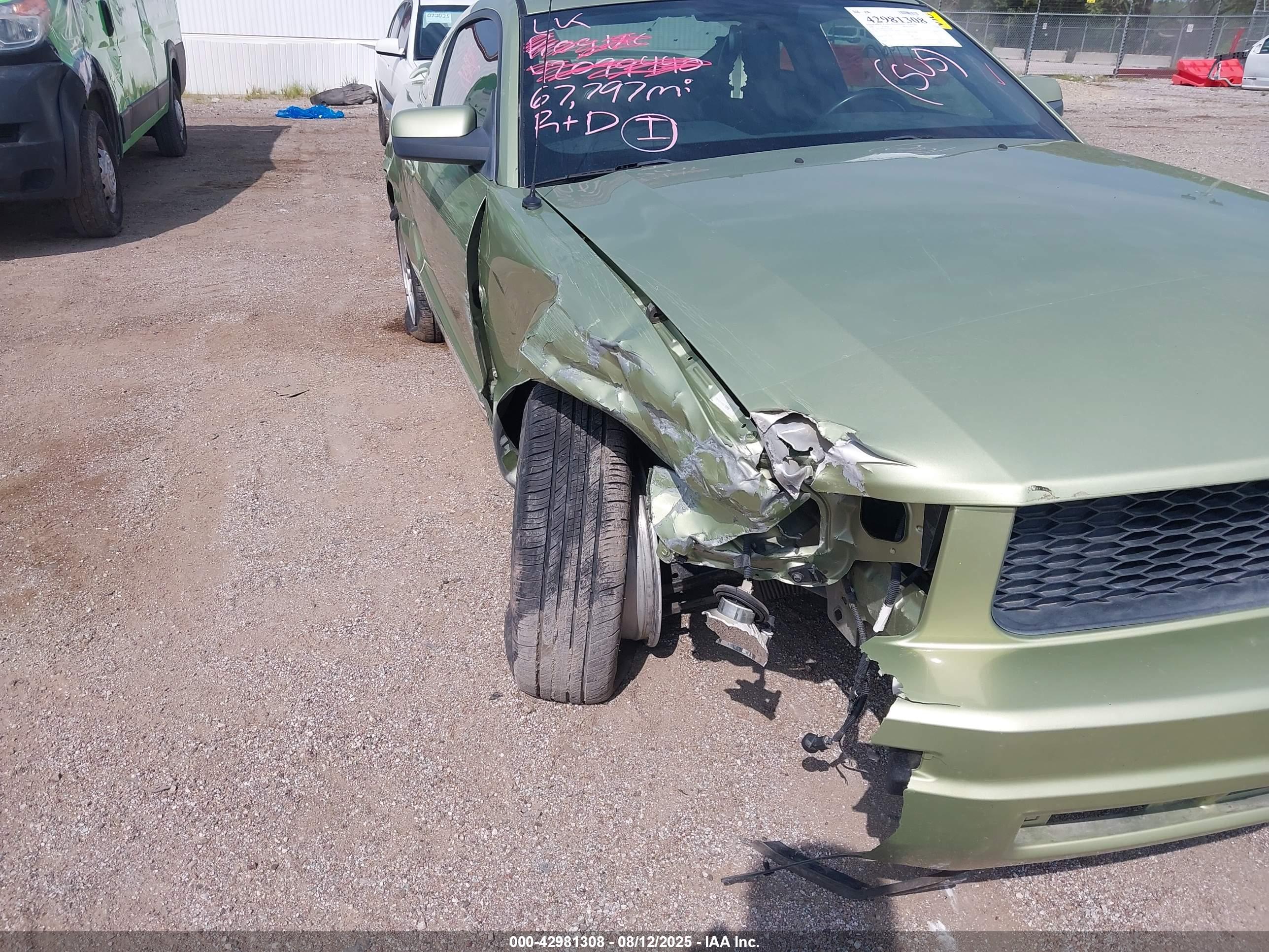 FORD MUSTANG image 6