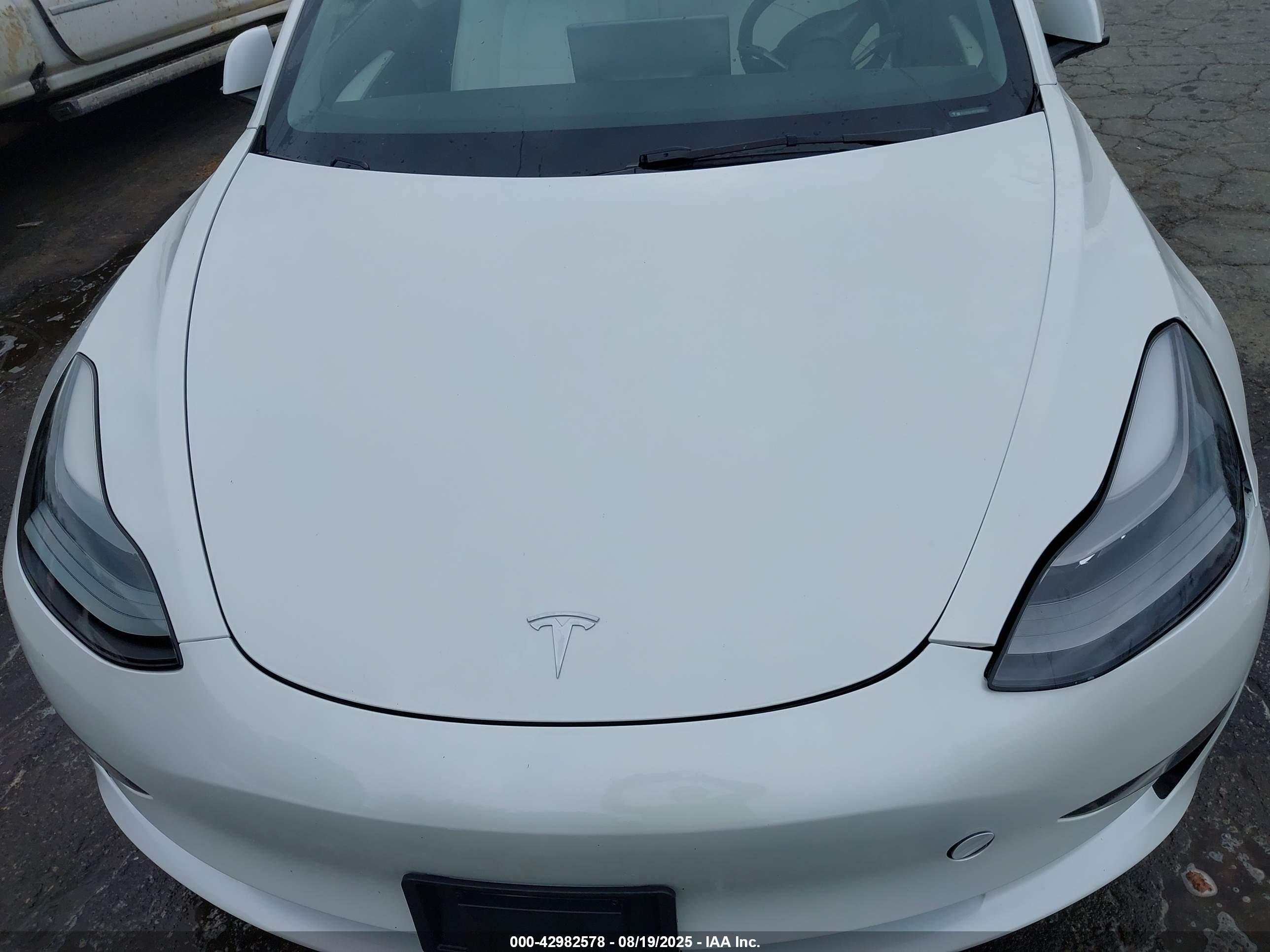 TESLA MODEL image 10