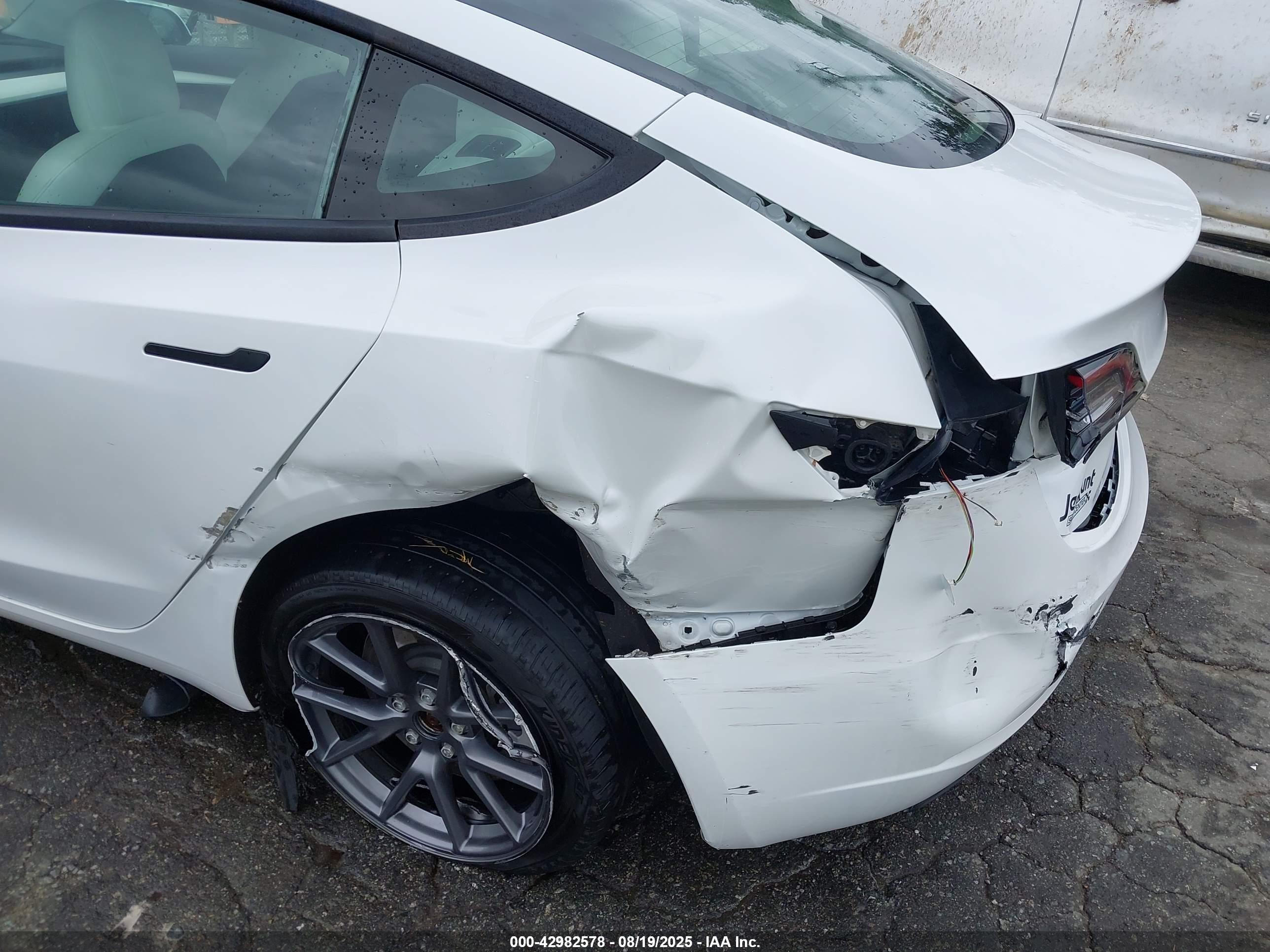TESLA MODEL image 6