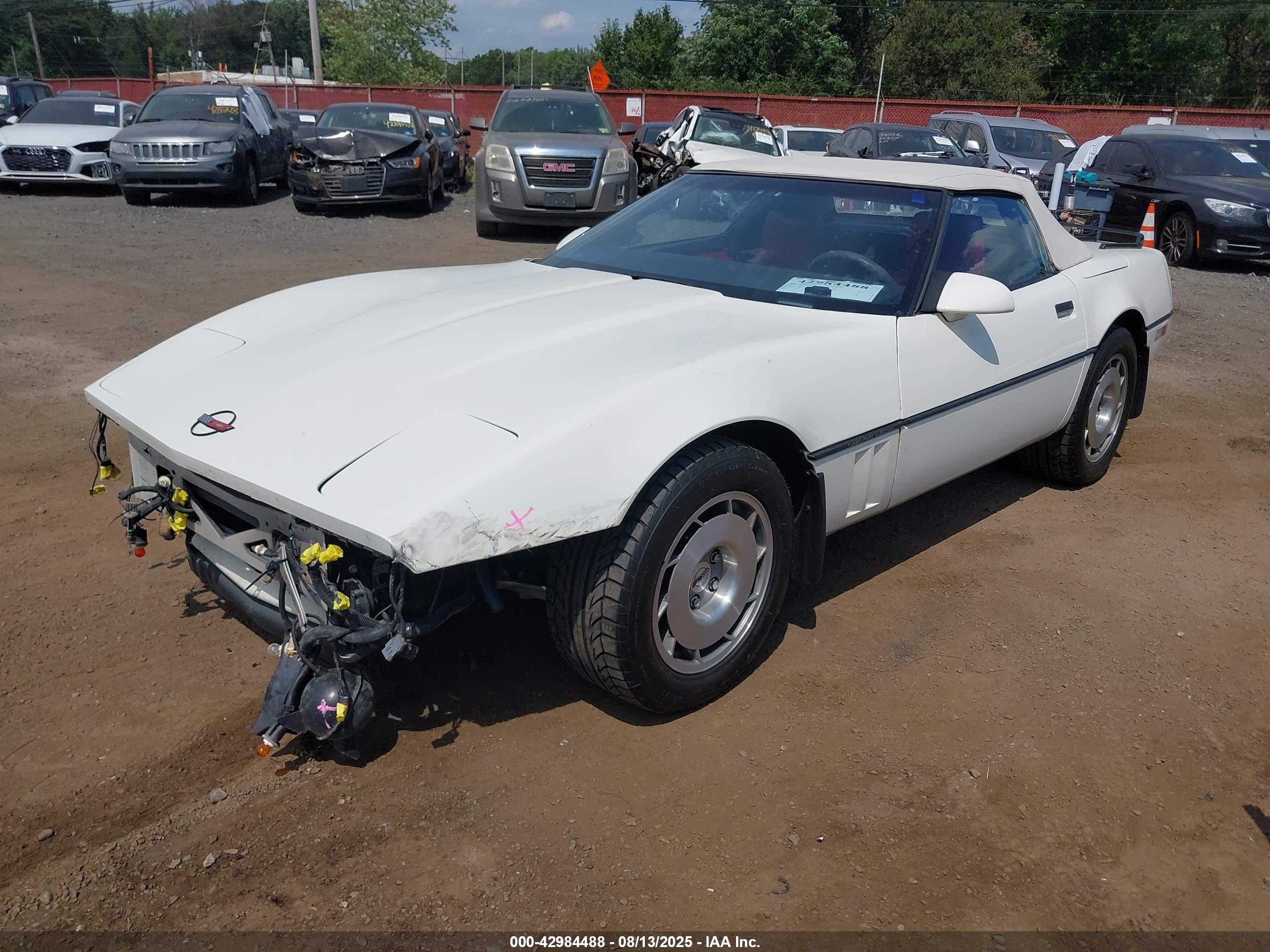 CHEVROLET CORVETTE image 2