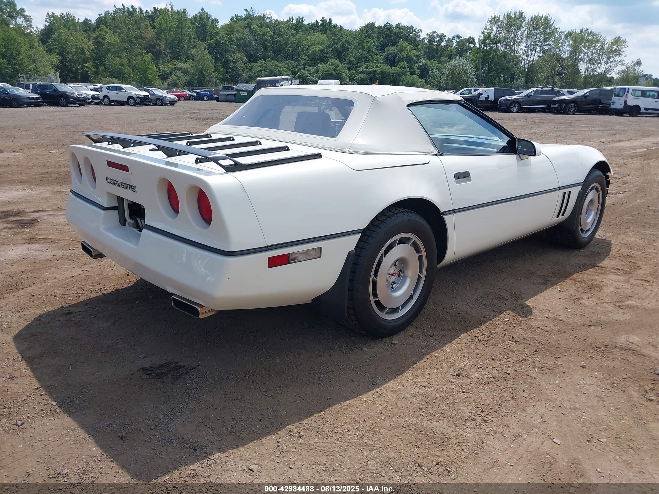 CHEVROLET CORVETTE image 4