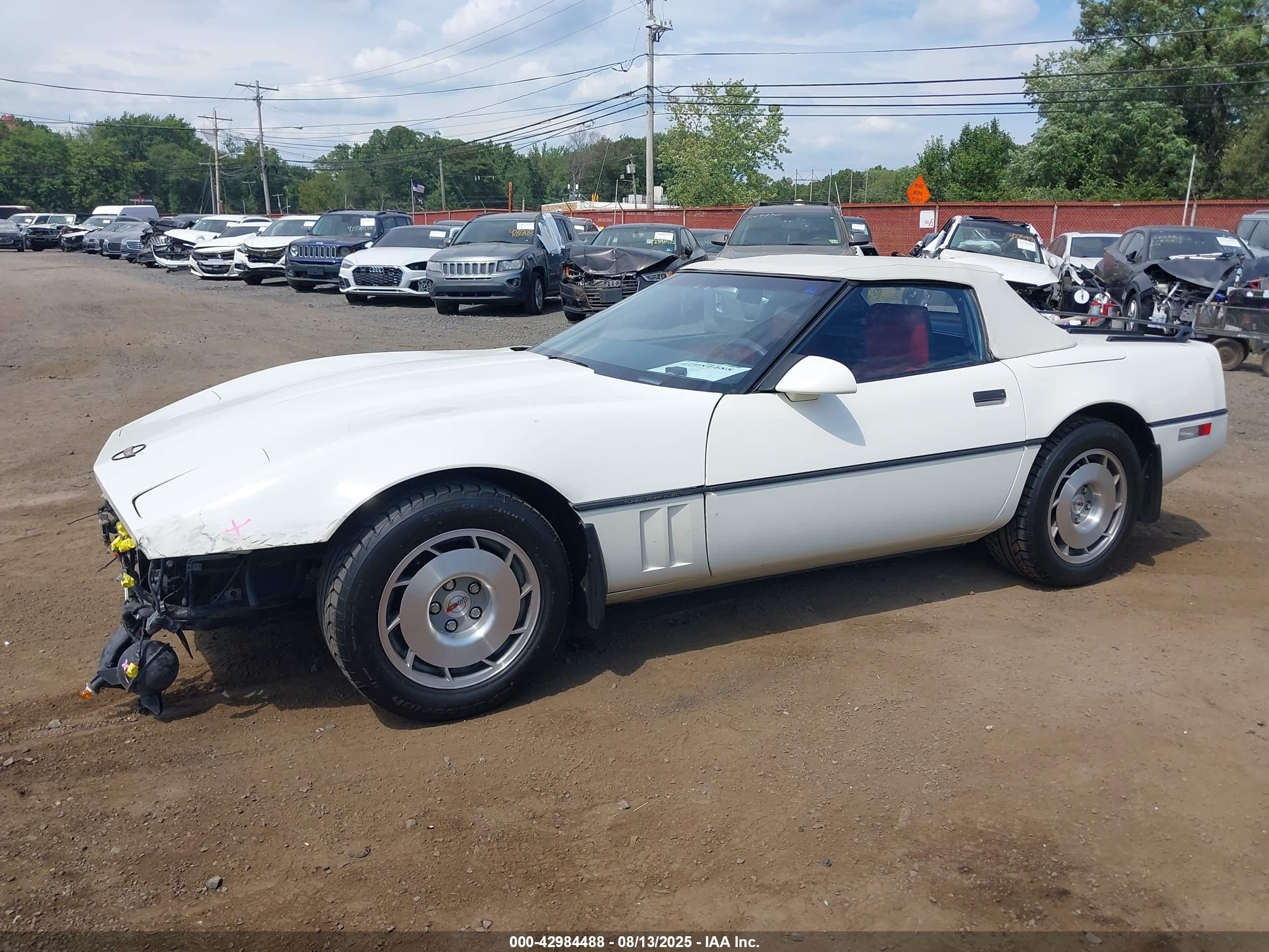 CHEVROLET CORVETTE image 6