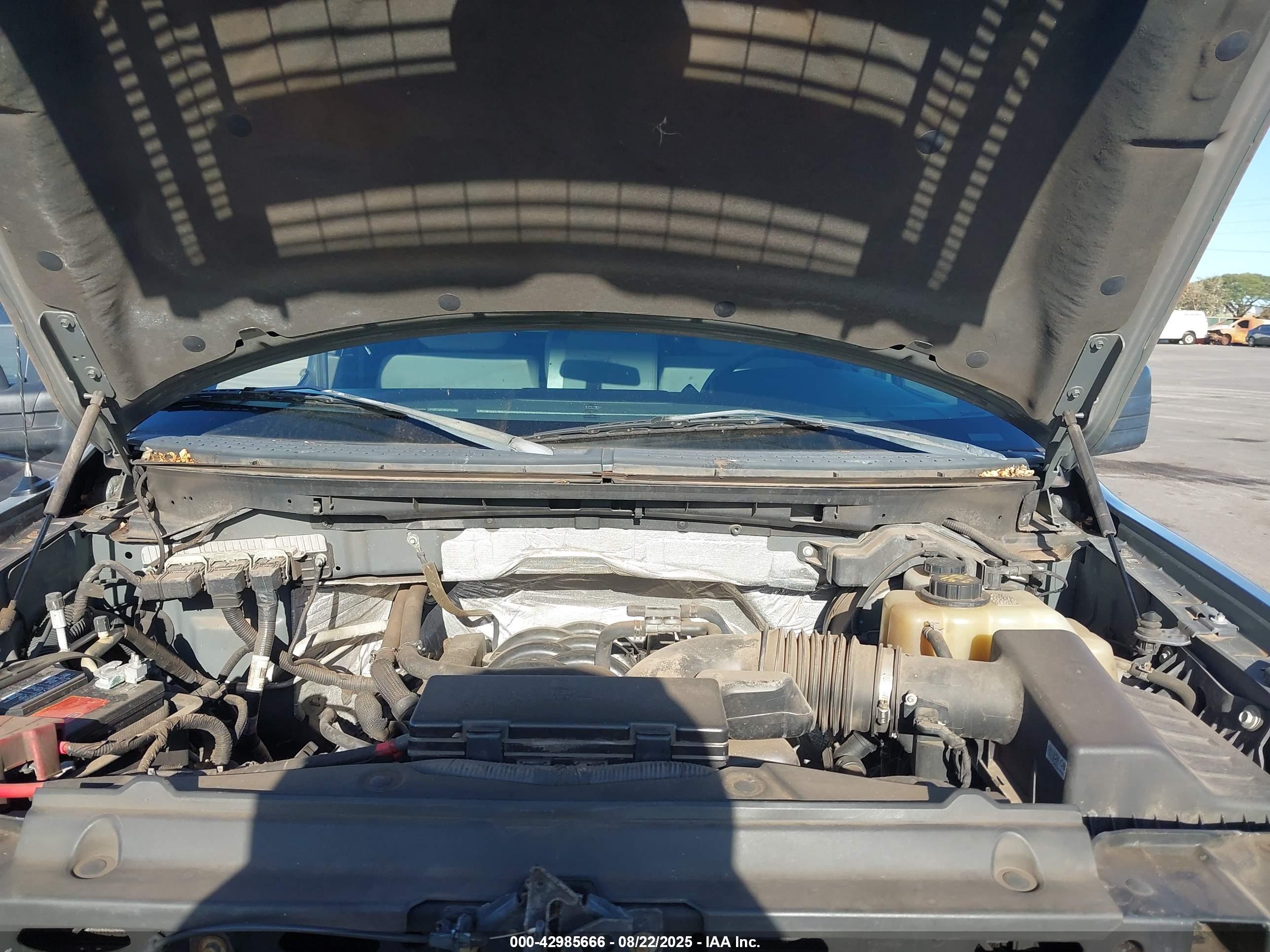FORD F-150 image 10