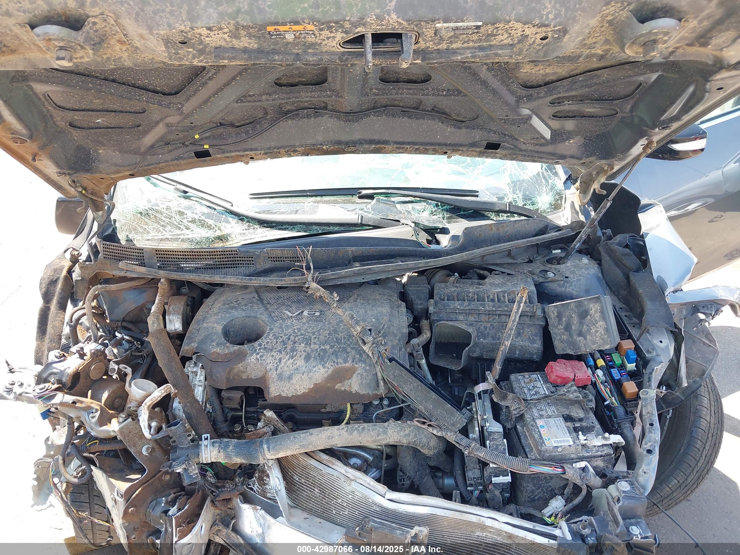 NISSAN MAXIMA image 10