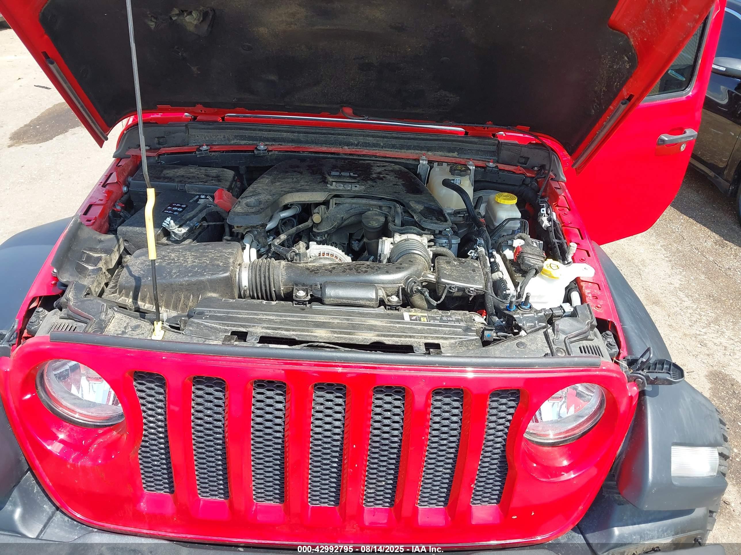 JEEP WRANGLER image 10
