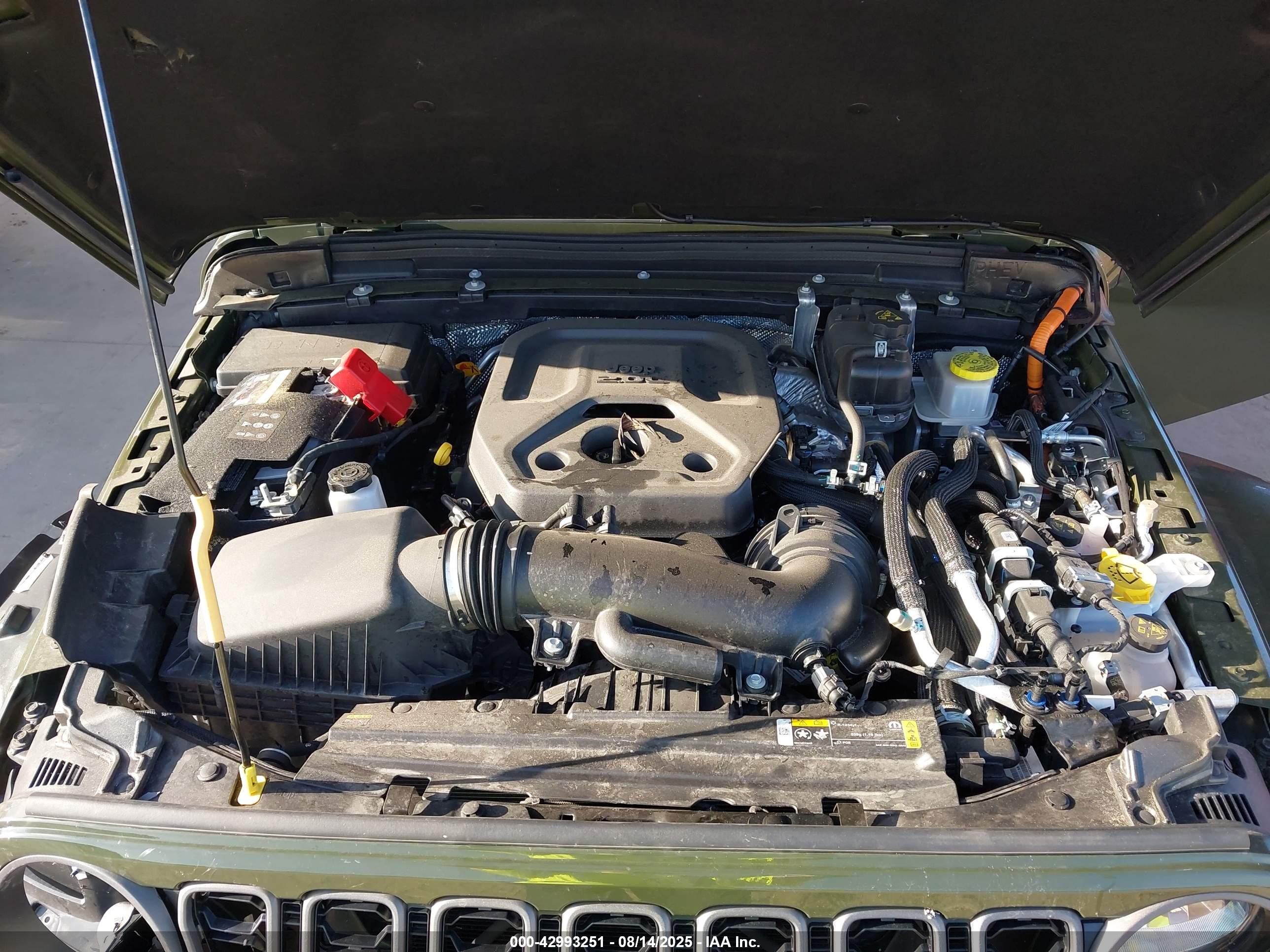 JEEP WRANGLER image 10