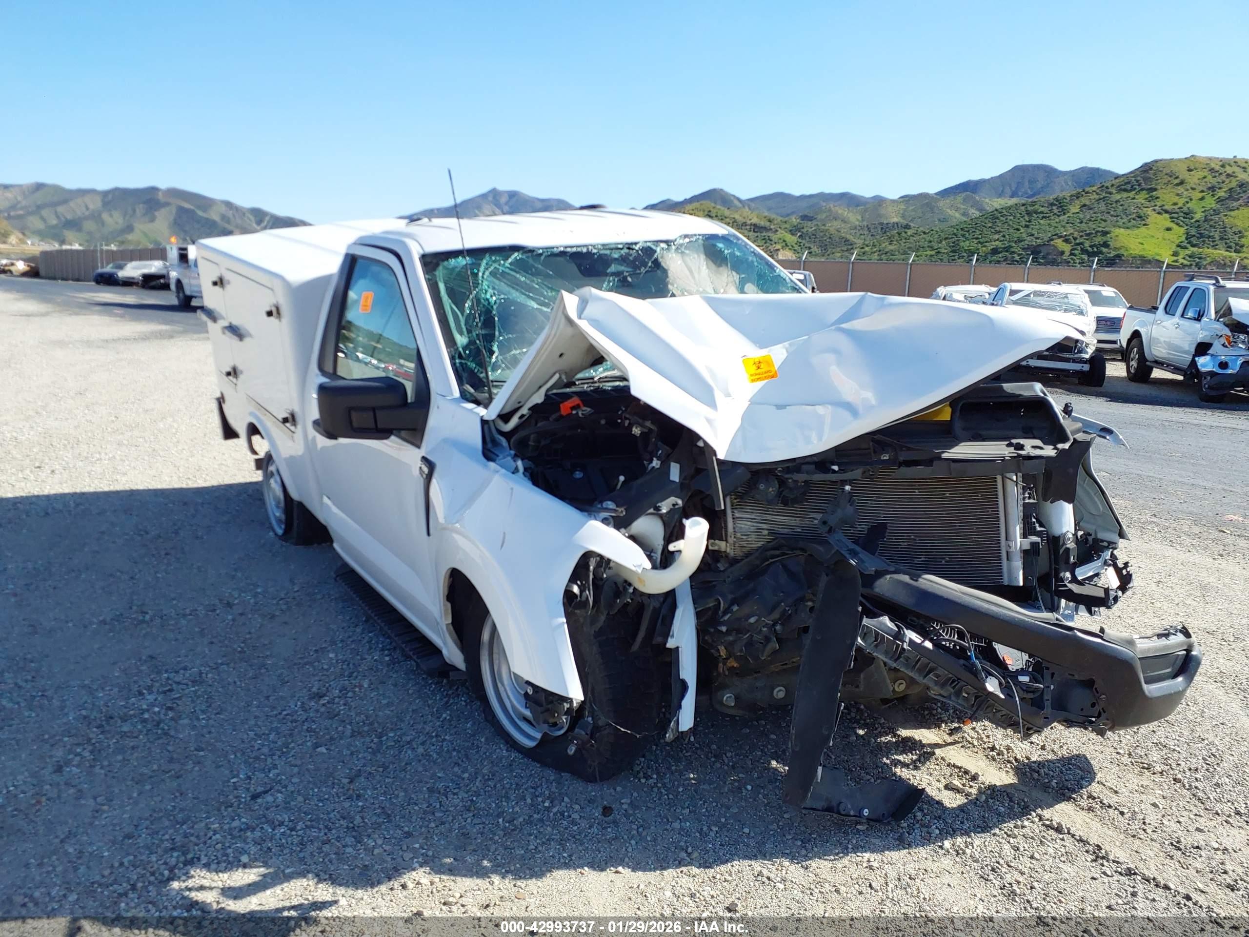 FORD F-150 image 6