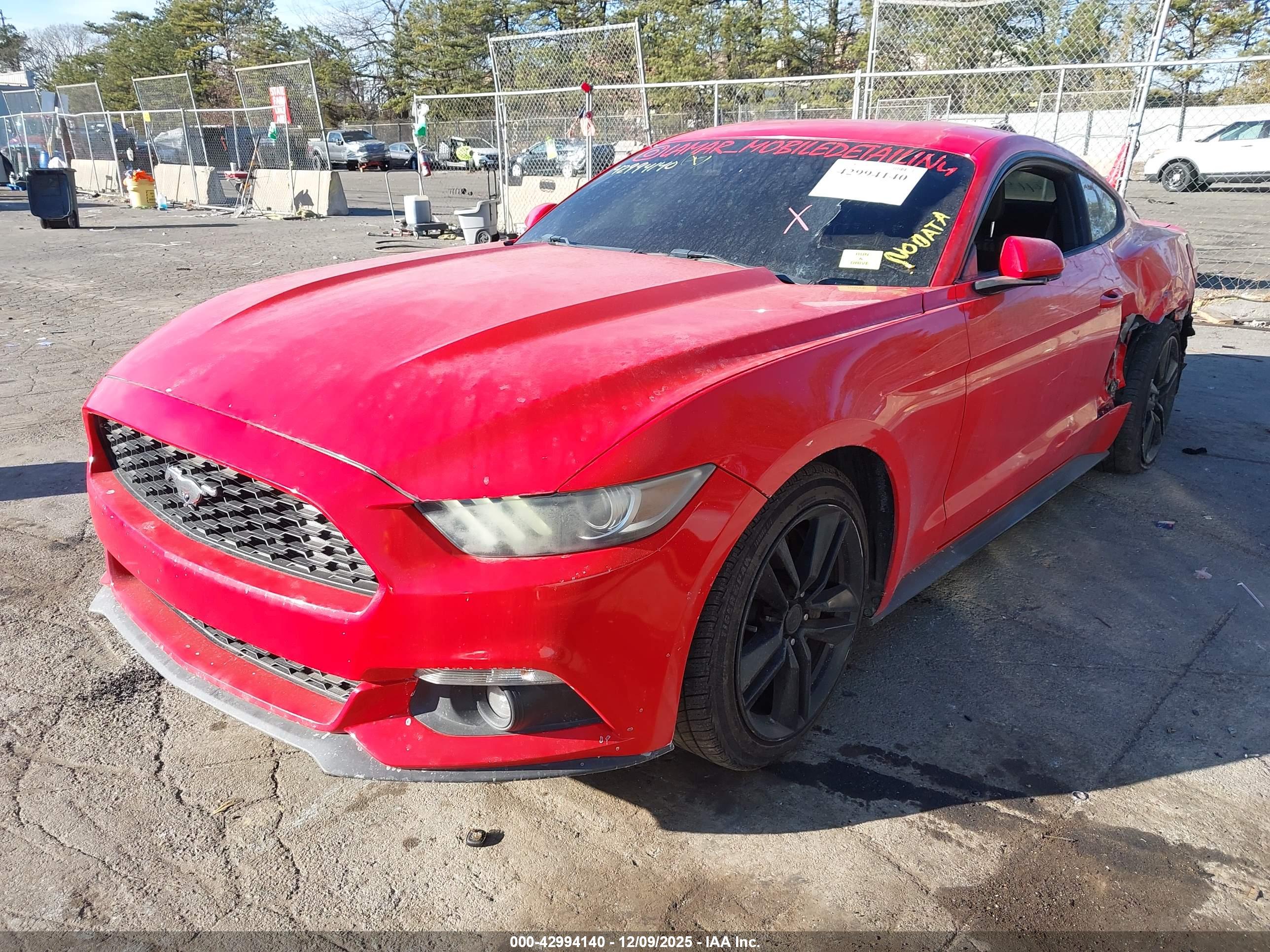 FORD MUSTANG image 2